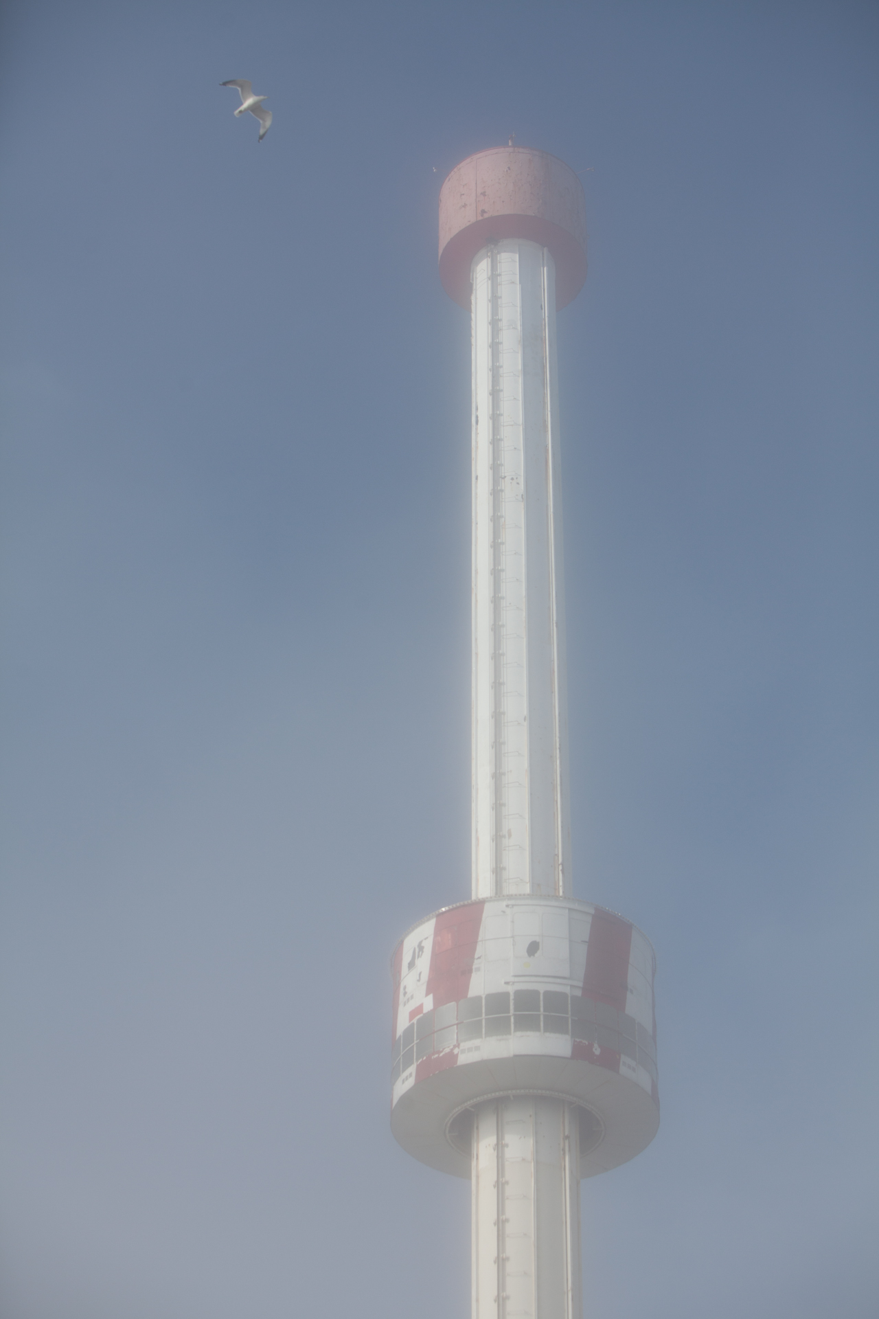 CONY_ISLAND_014.jpg