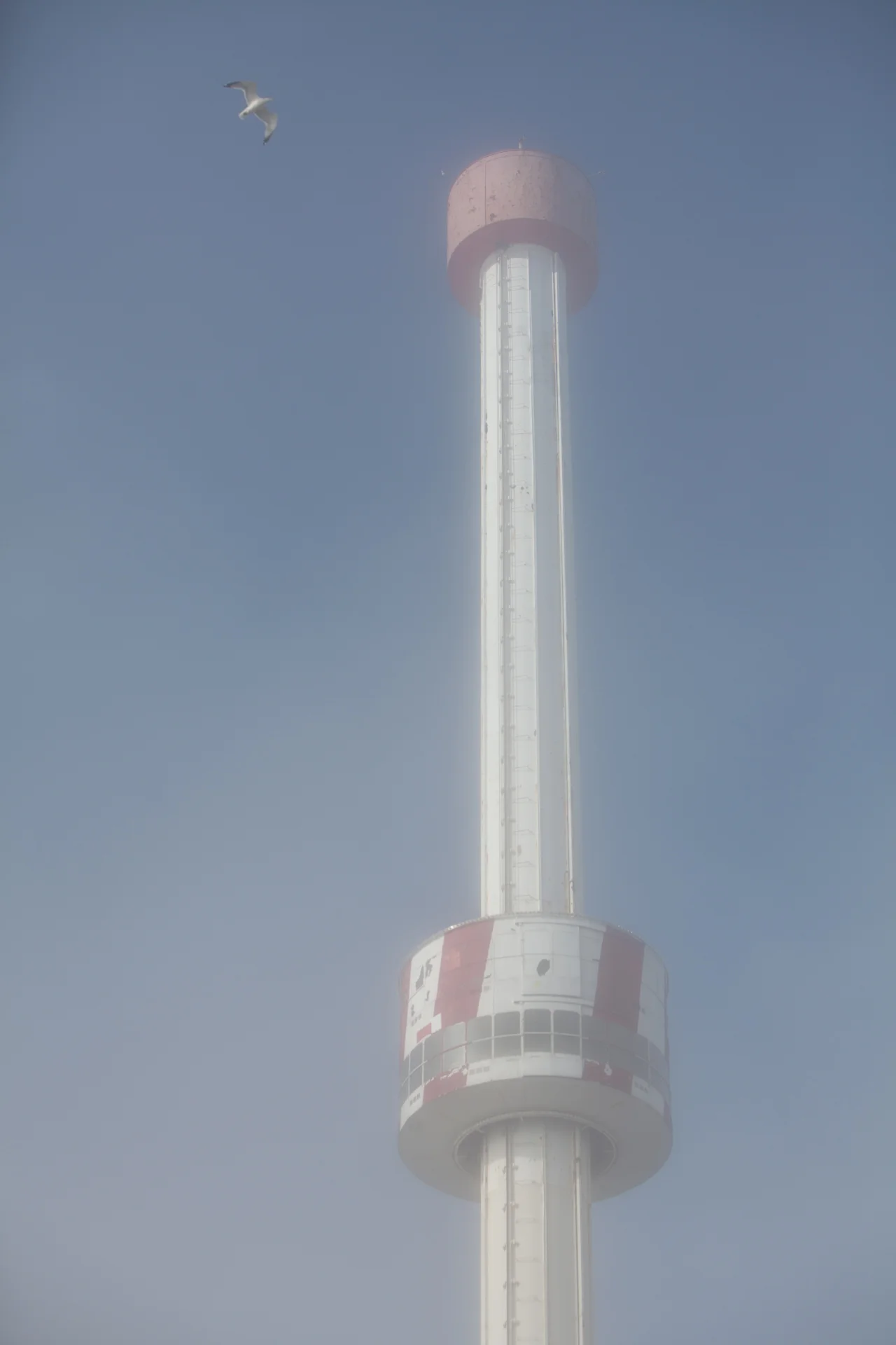 CONY_ISLAND_014.jpg