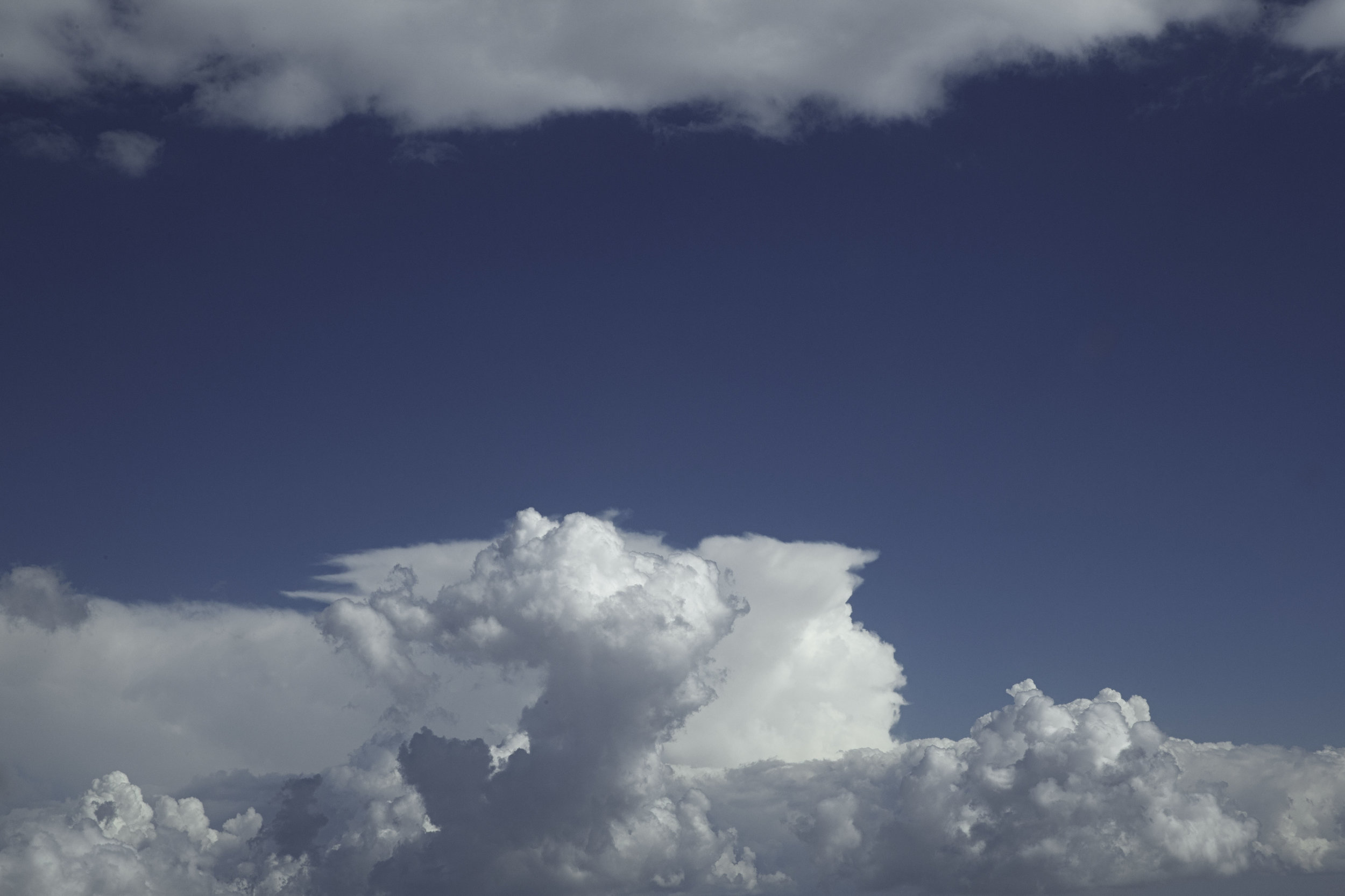 006W4467-Edit.jpg