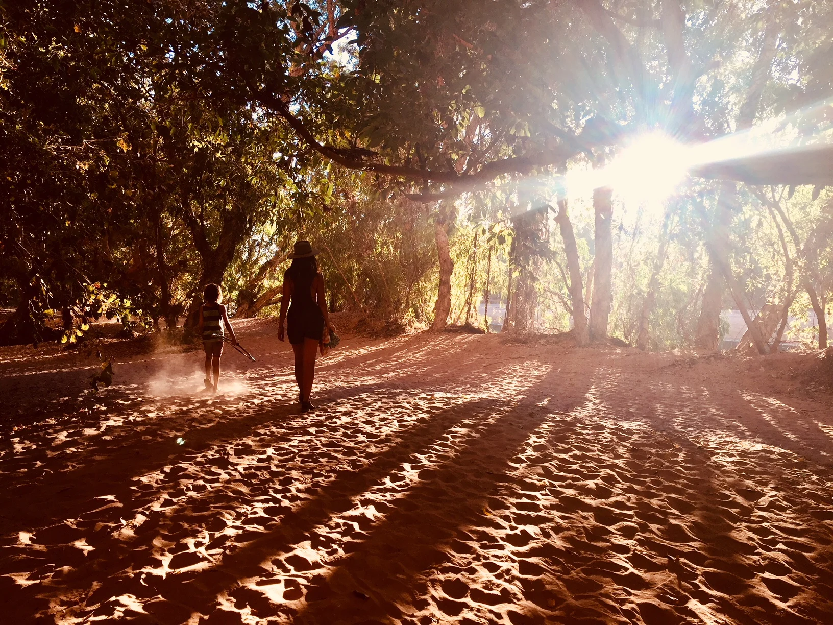 AYURVEDA HERO.jpg