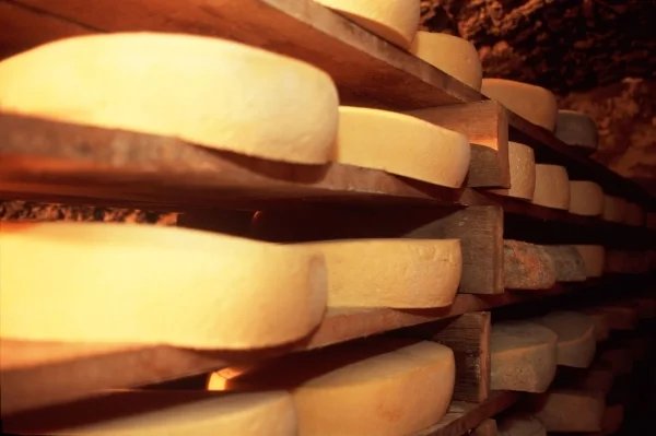 the_ munster_ cheese