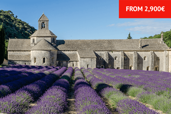 Provence+Tour+lavender+field+price.png