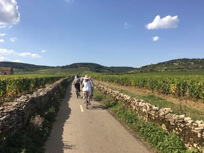 Food & Wine Tour of Burgundy - Food Tour France