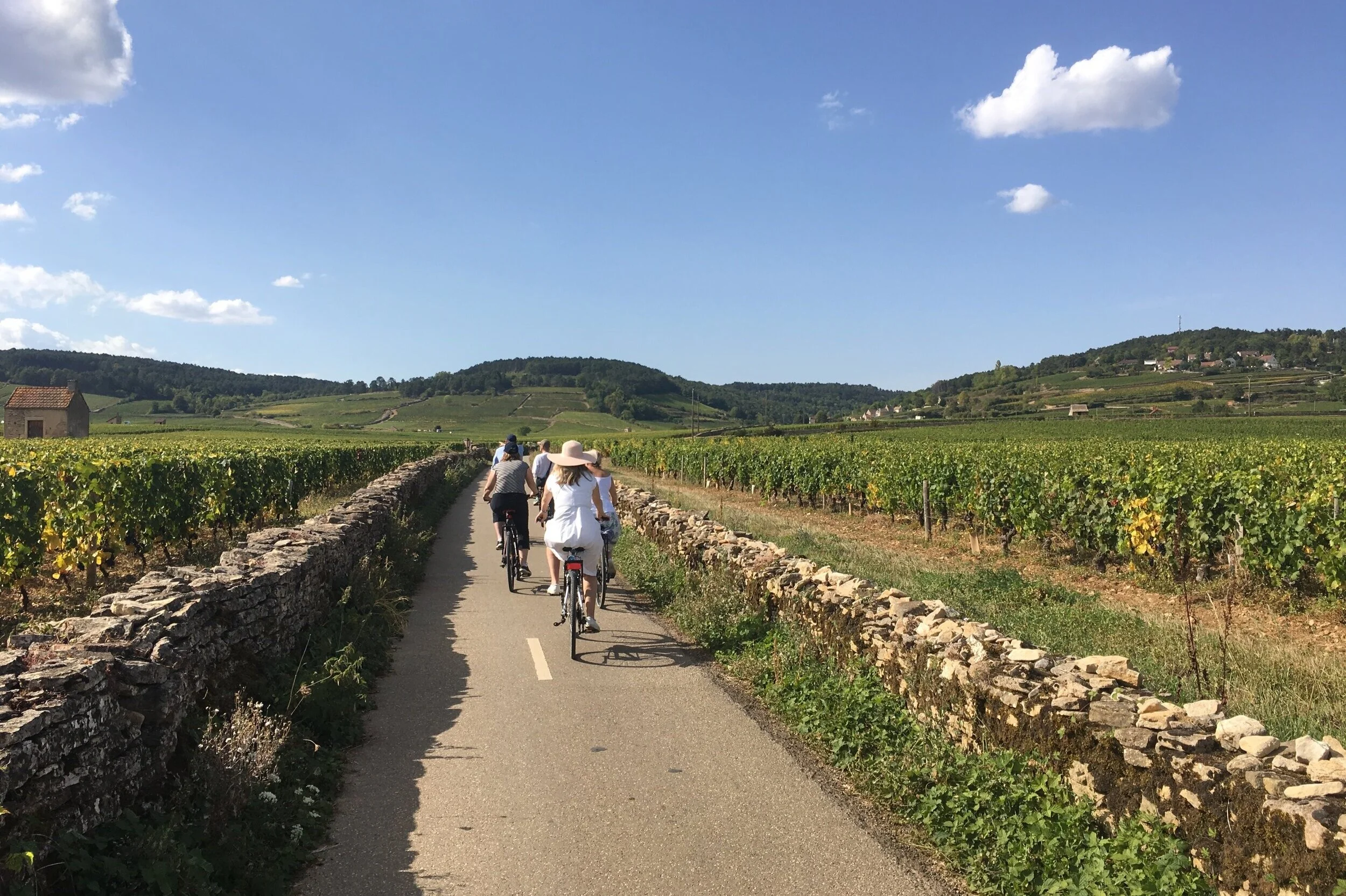 Food &amp; Wine Tour of Burgundy - Food Tour France