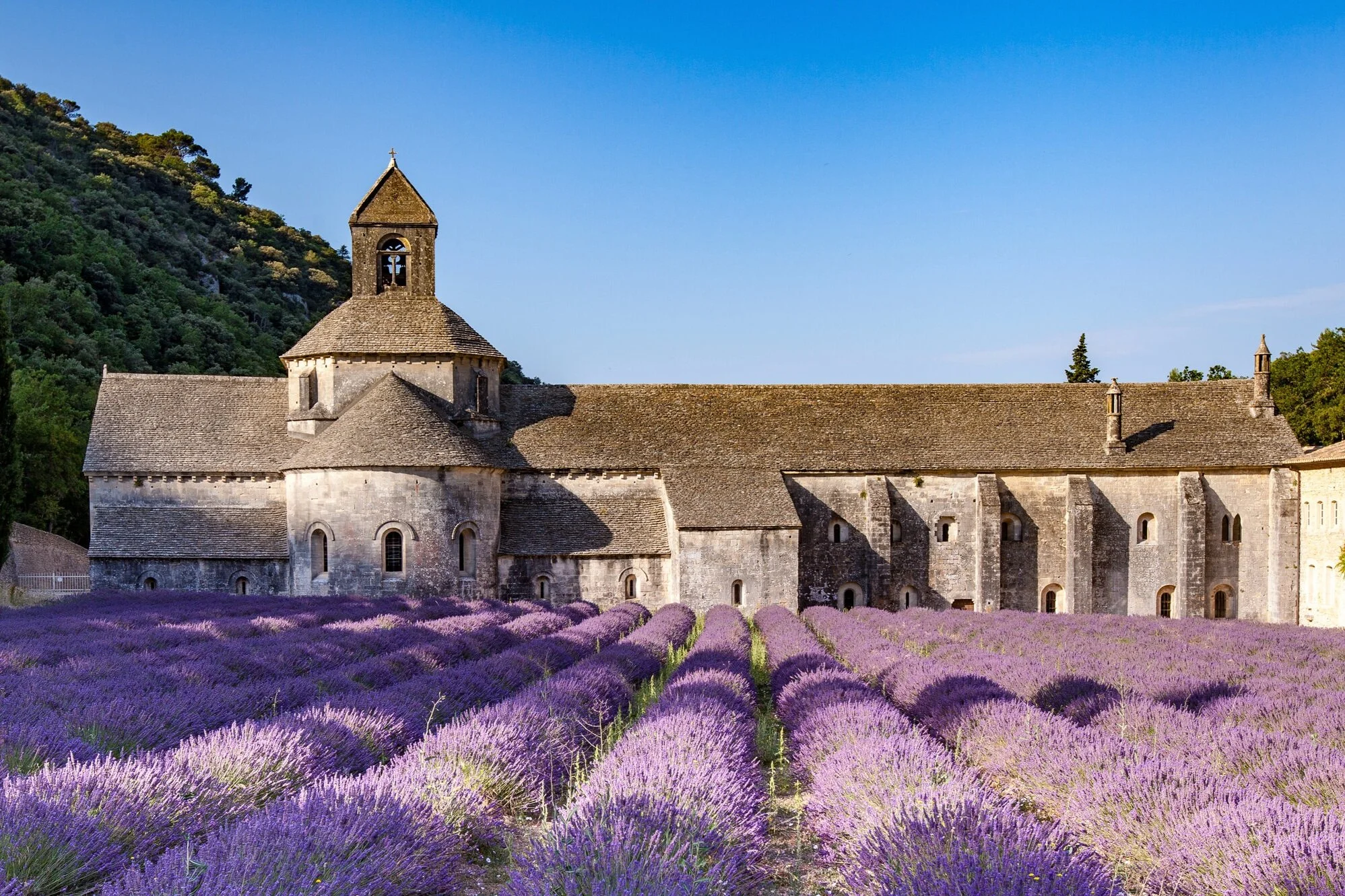Food &amp; Wine Tour of Provence - all inclusive France guided tours