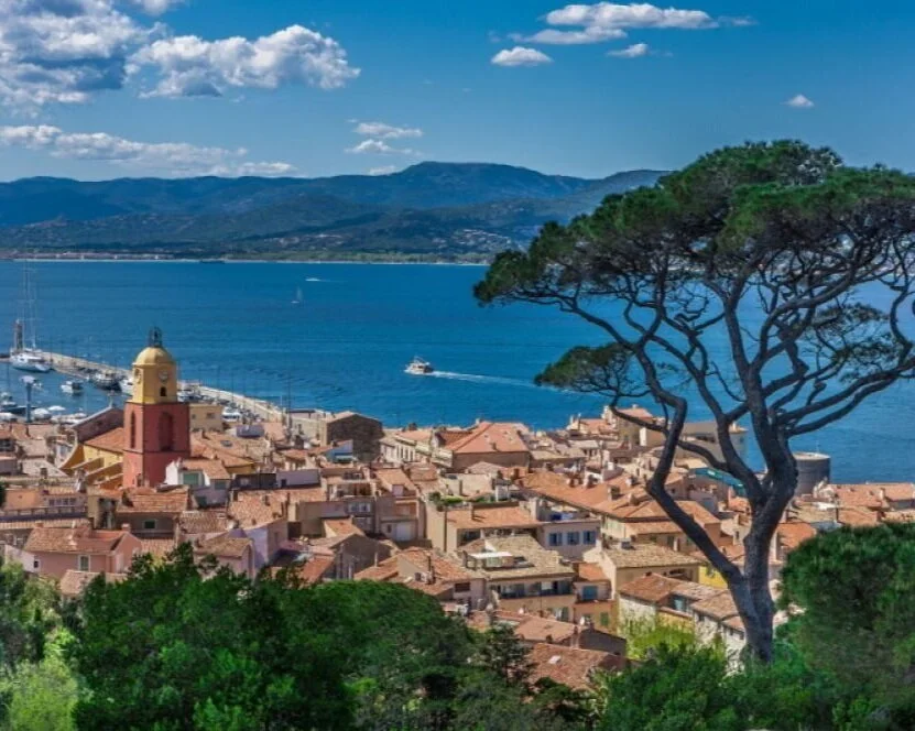 Food &amp; Wine Tour of Provence - culinary tours France