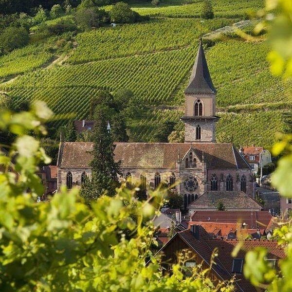 Alsace wine route