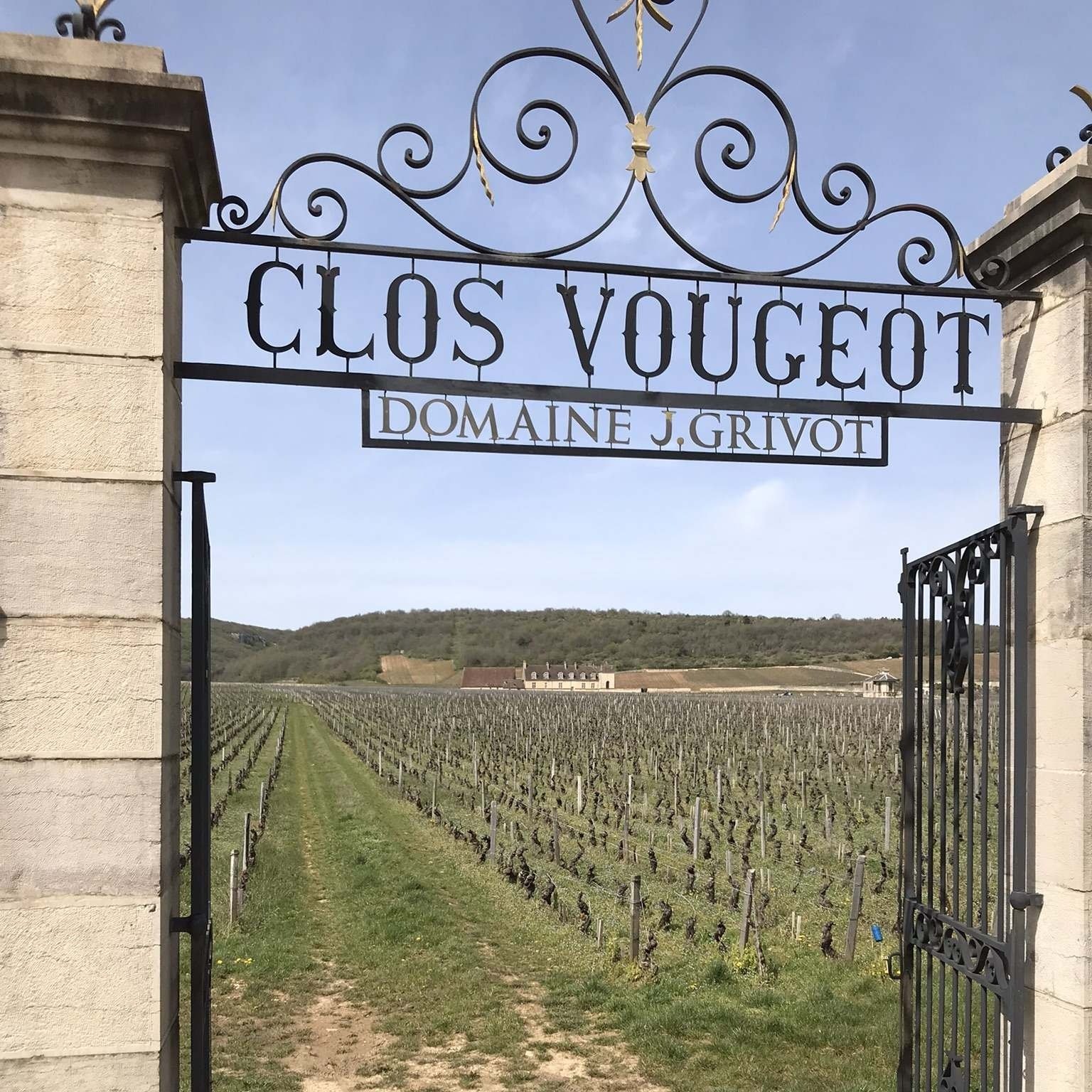 Clos+Vougeot.jpg