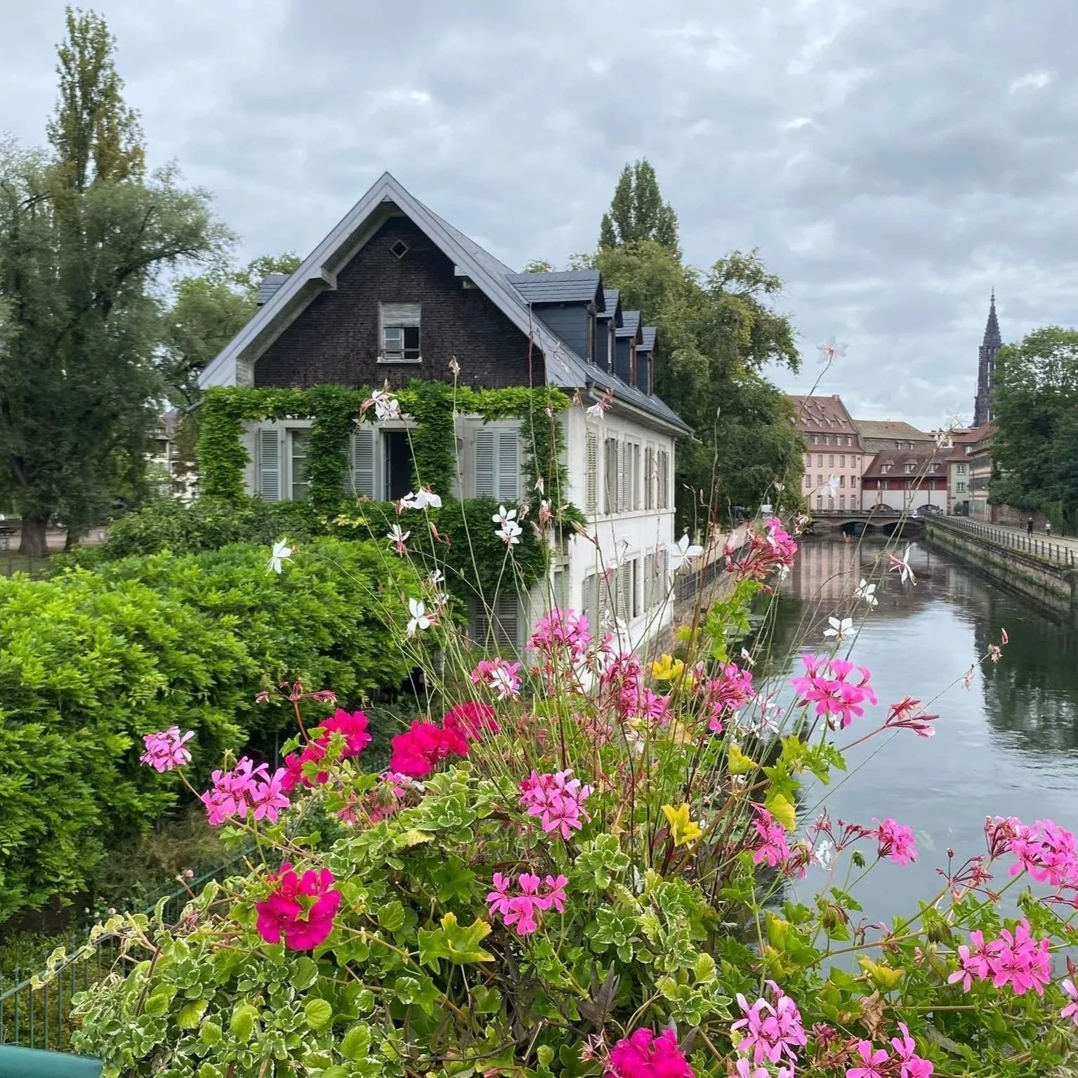 Alsace+2024-28.jpg