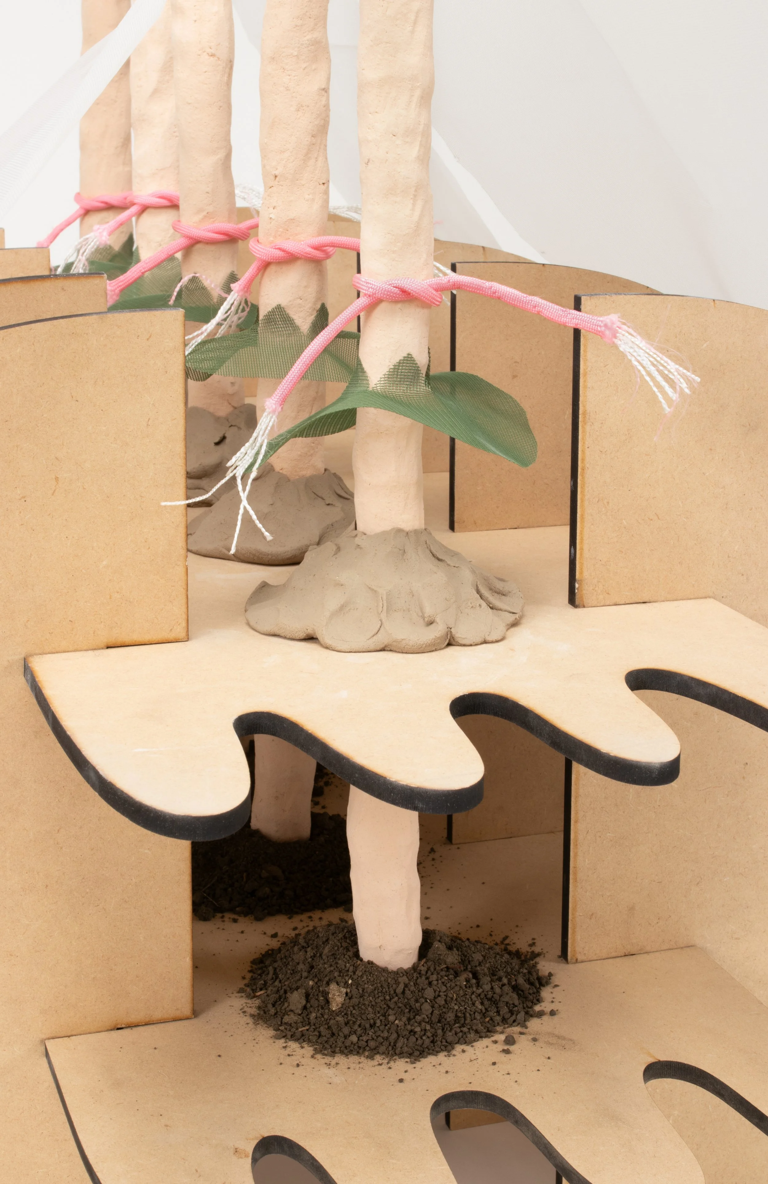 2. Wed You Not (detail).webp