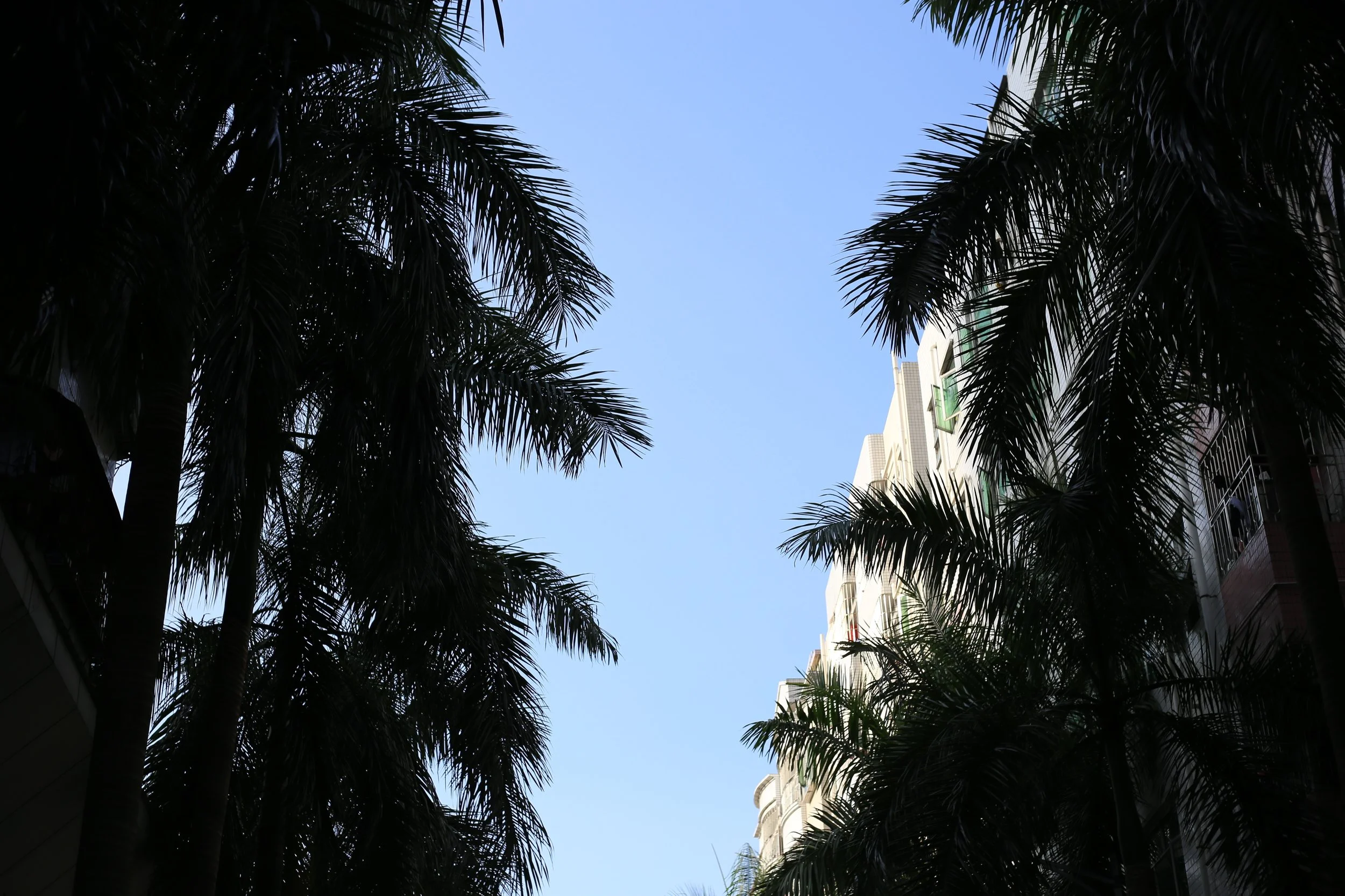 IMG_6830.jpg