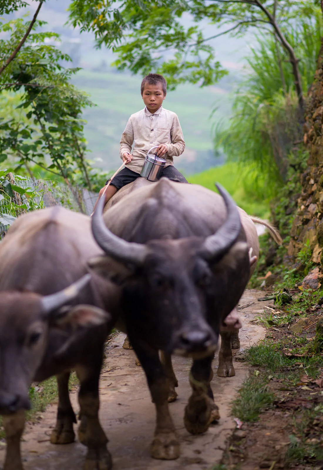 boy-riding-buffalo-Sapa-Vietnam.jpg