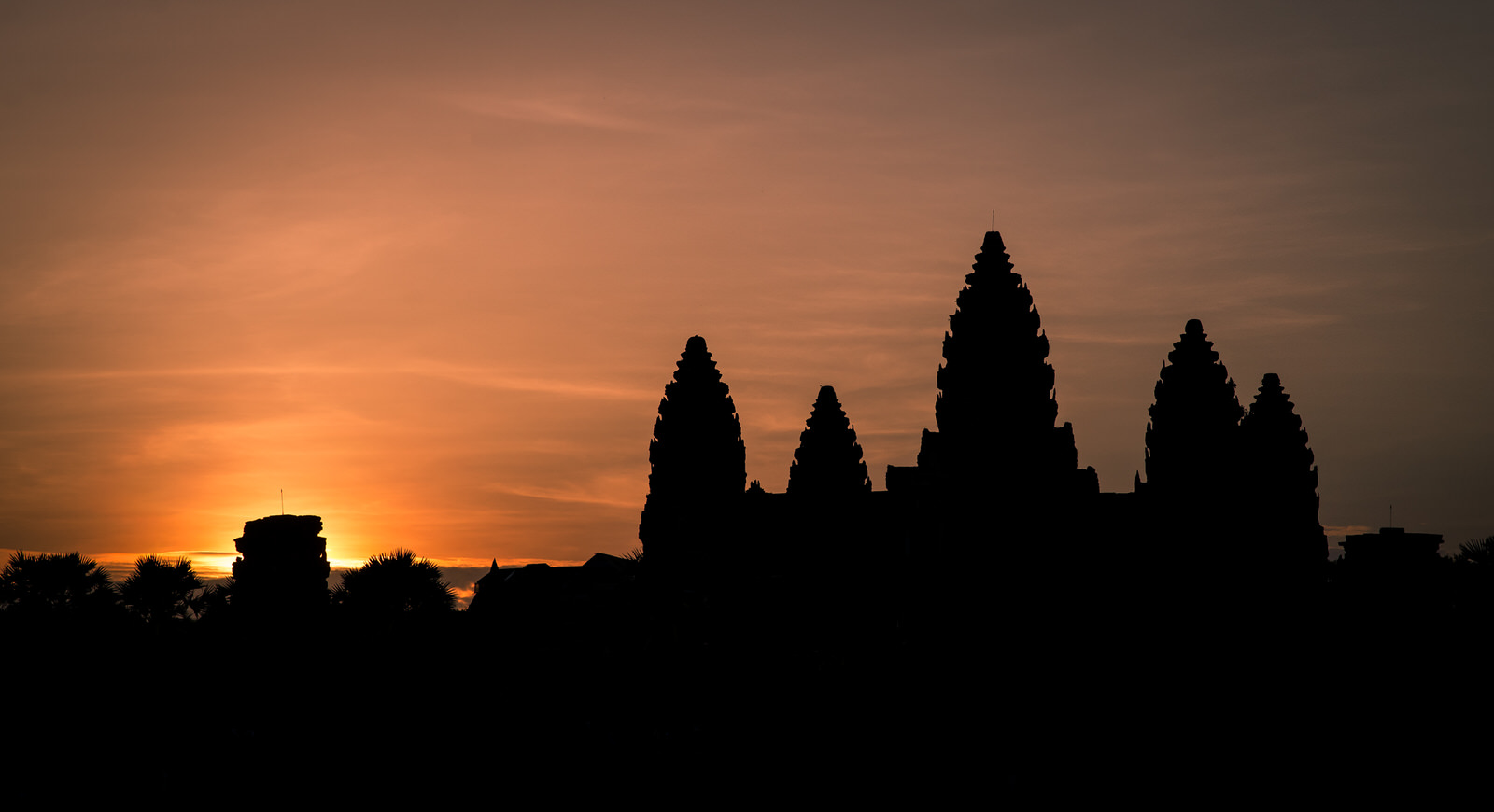 _DSC8266.jpg