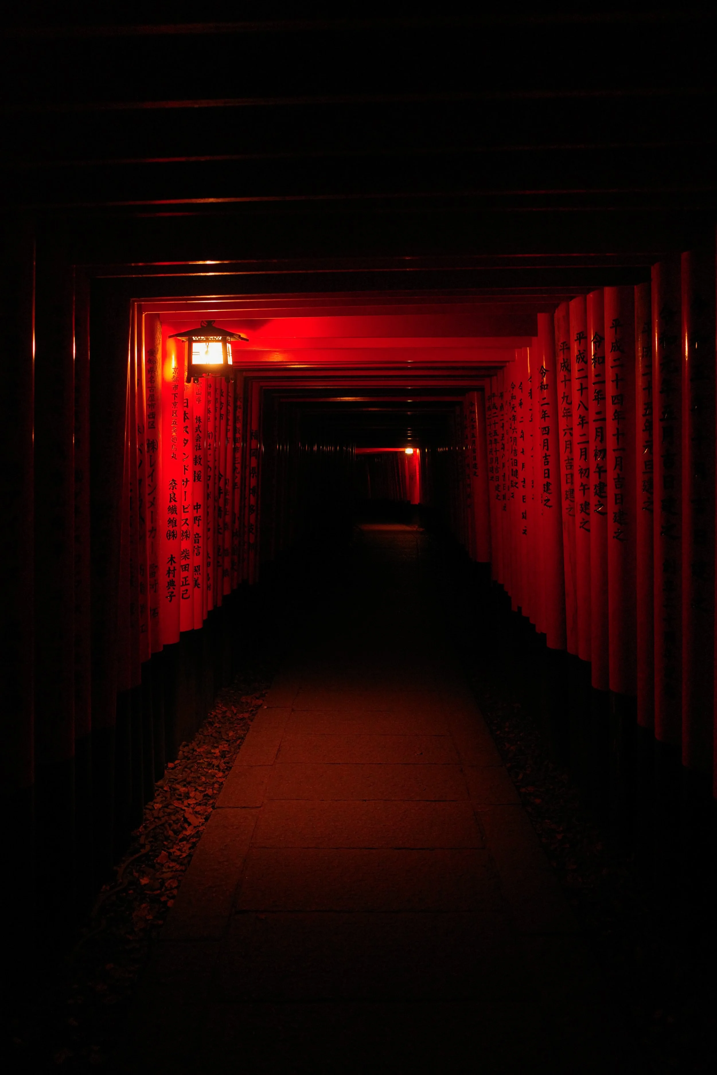 R0009548.JPG