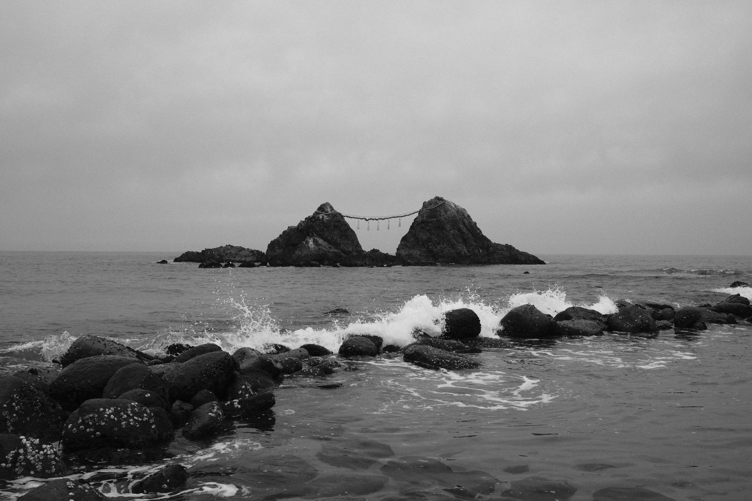 DSCF0708.JPG