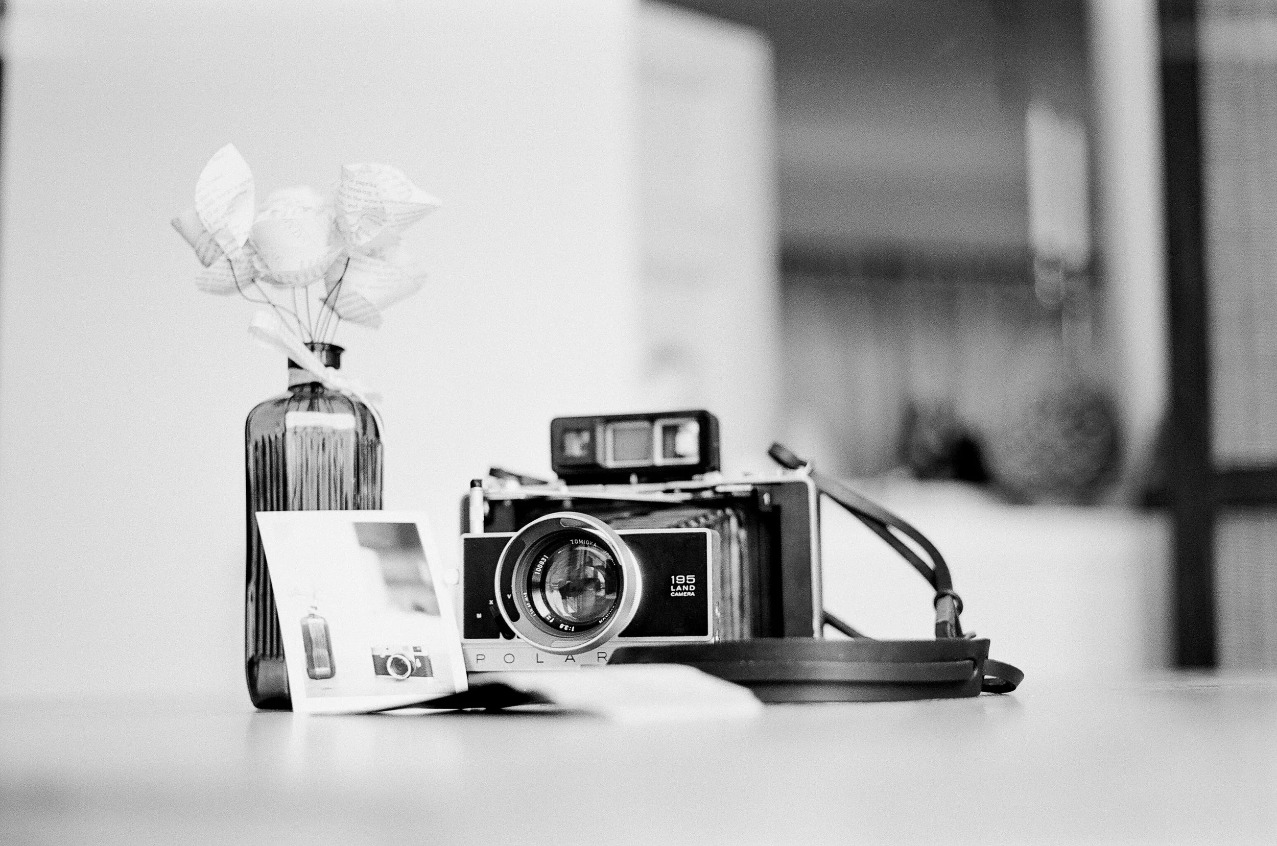 Kodak Portra - 20131022-01408.jpg