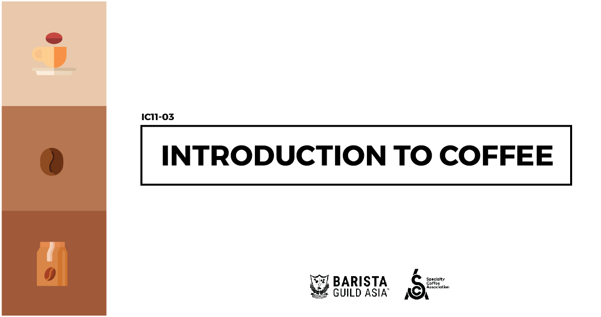 BGA Headers Intro to Coffee.jpg