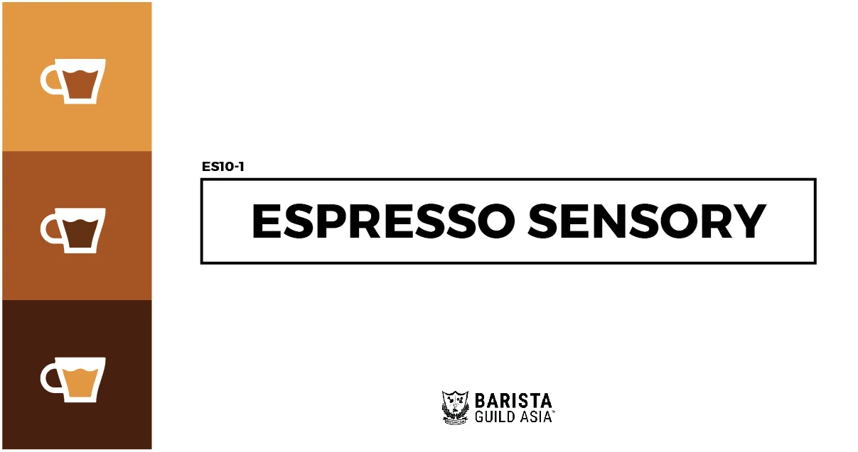 BGA Headers Espresso Sensory.jpg