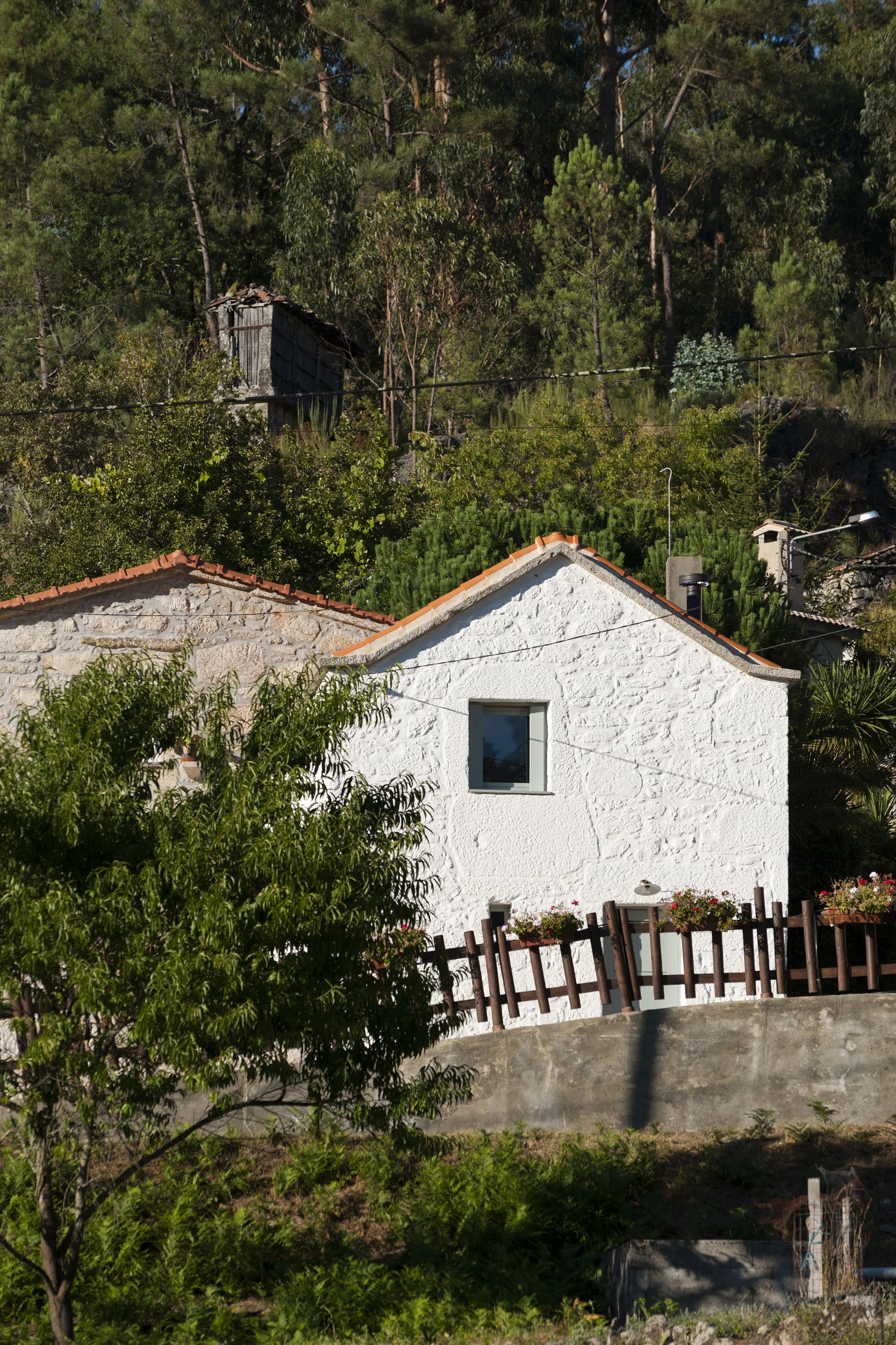 AT_020_20180914_V2.jpg
