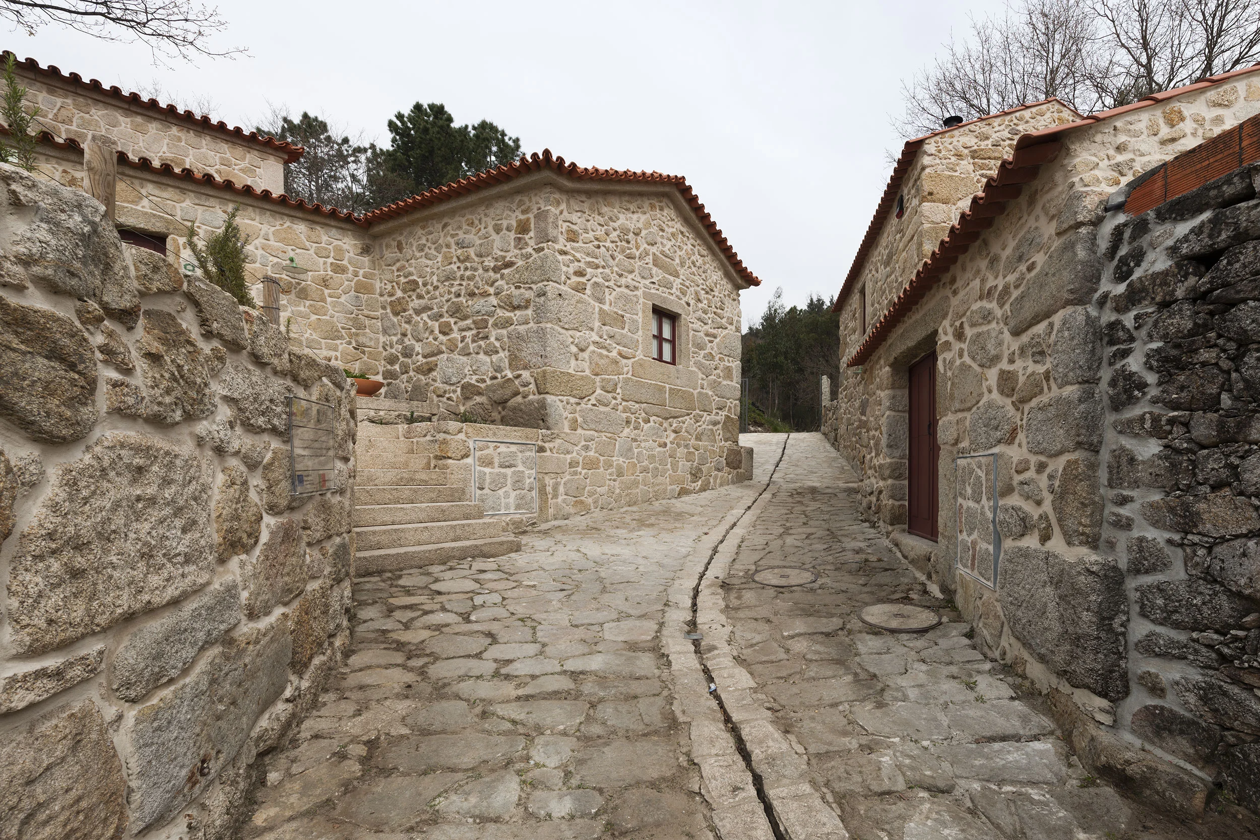 AT_20150320_017.jpg