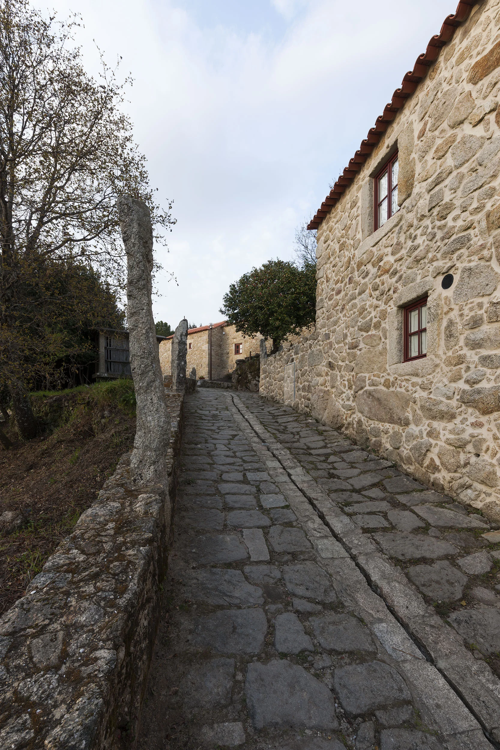 AT_20150320_029.jpg
