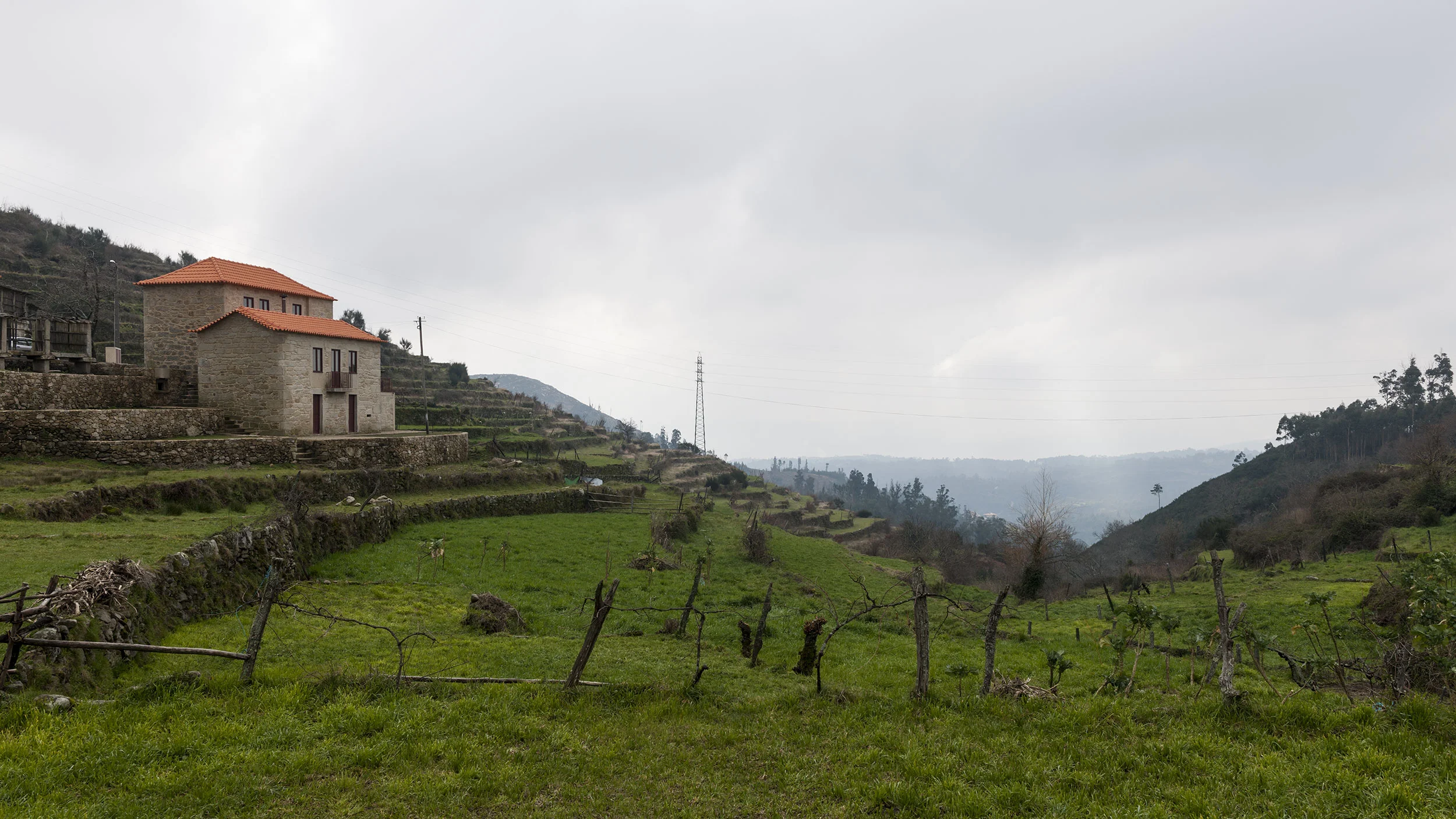 AT_20130216_012.jpg