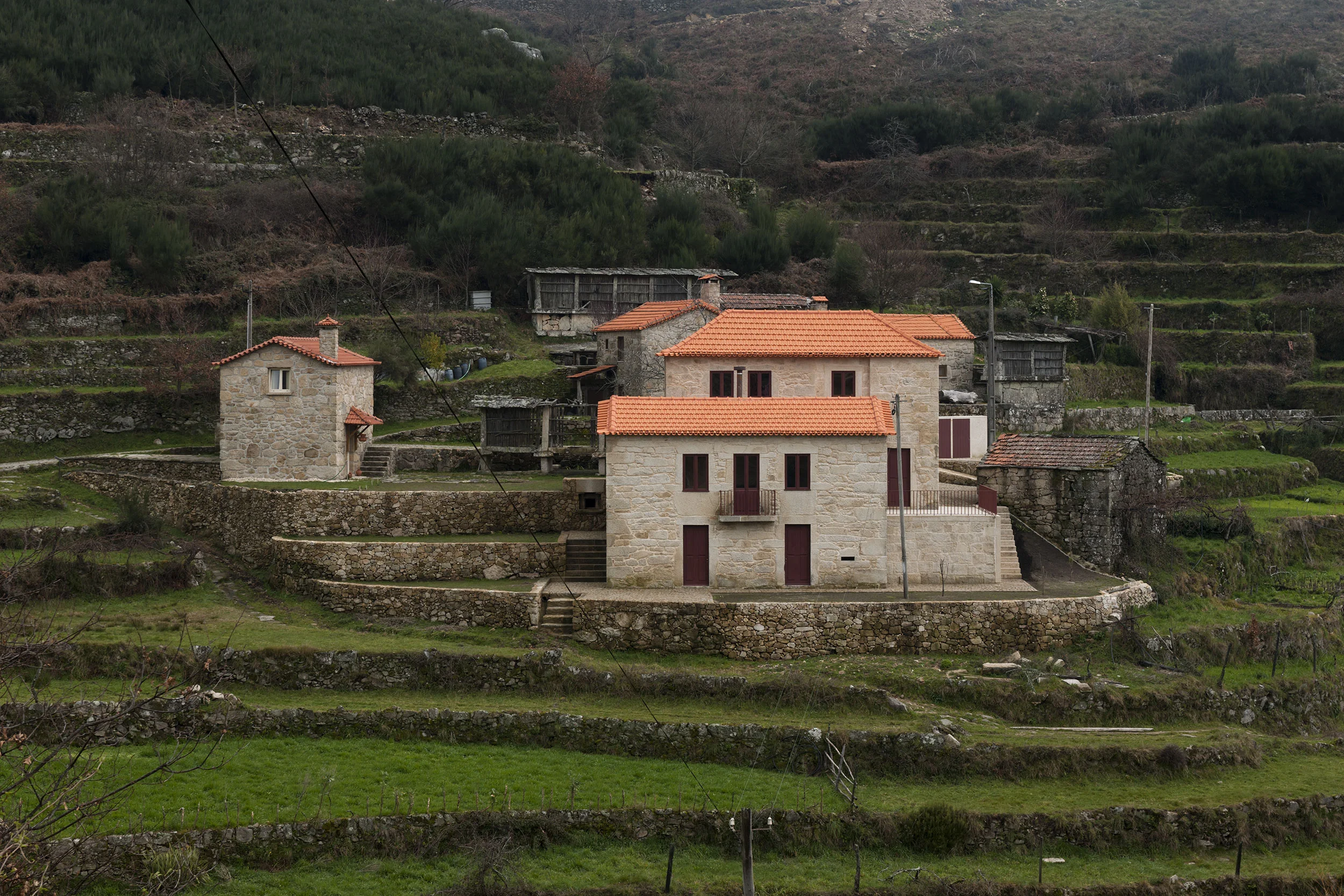 AT_20130216_013.jpg