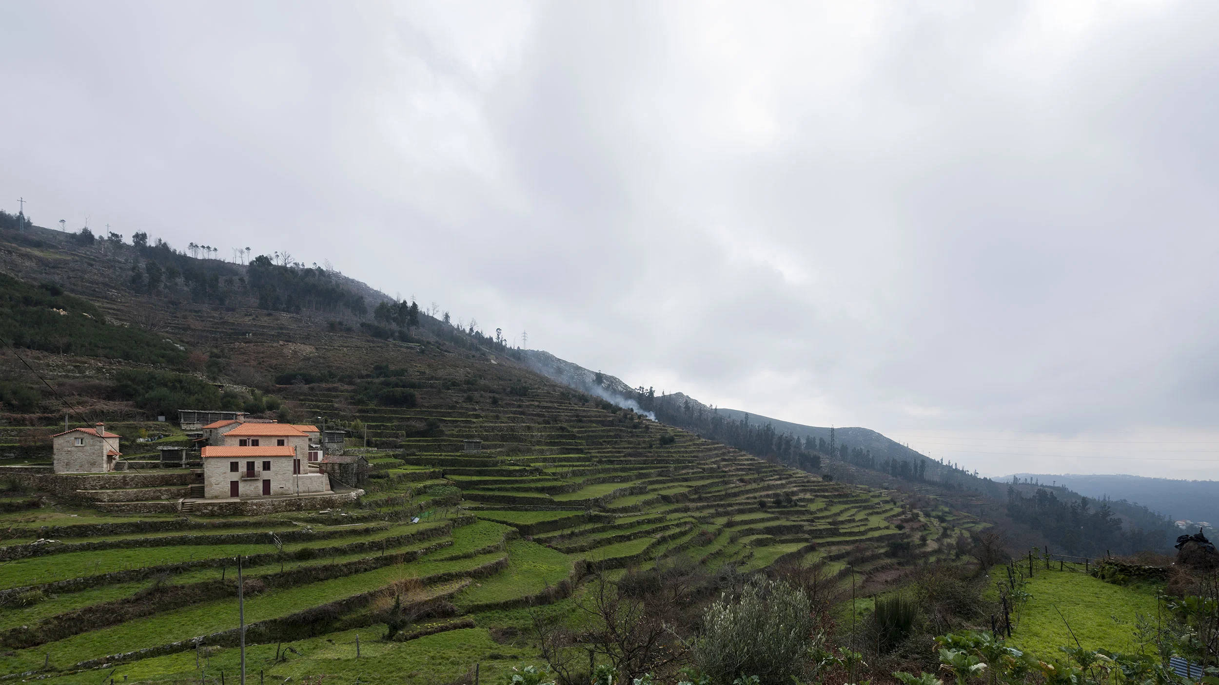 AT_20130216_015.jpg