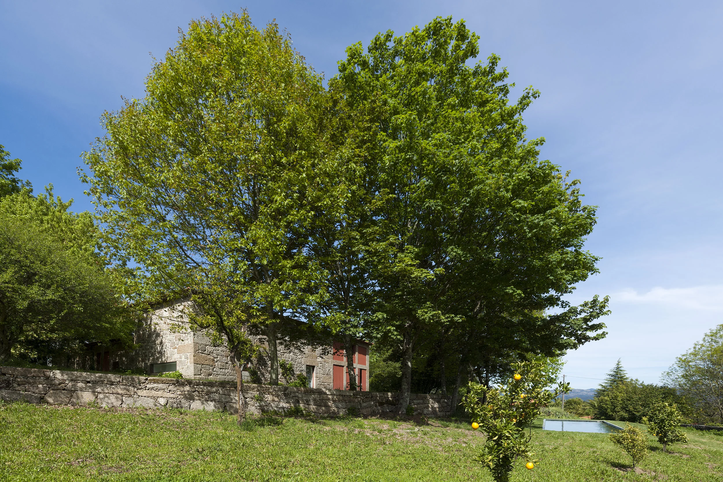 AT_20190428_008.jpg