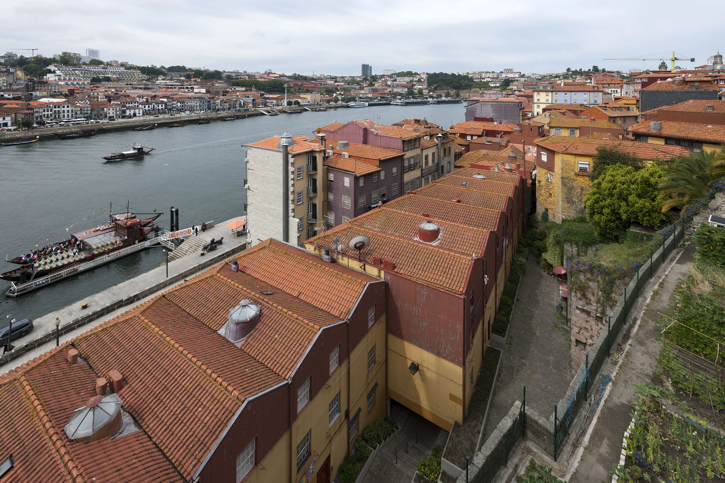 AT_20190617_001.jpg