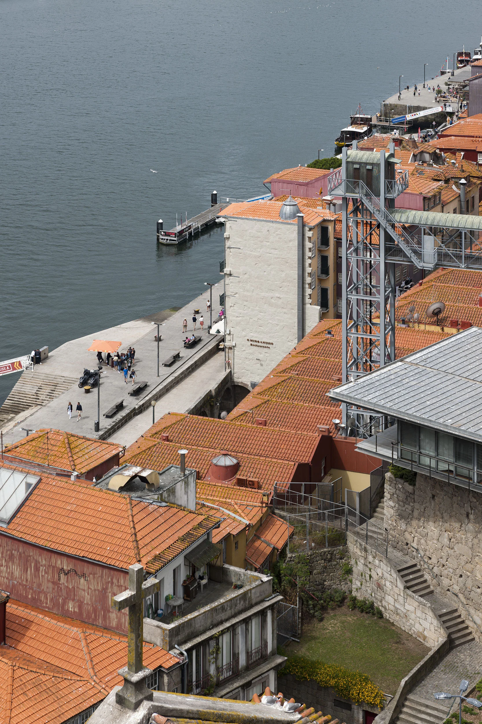 AT_20190617_008.jpg