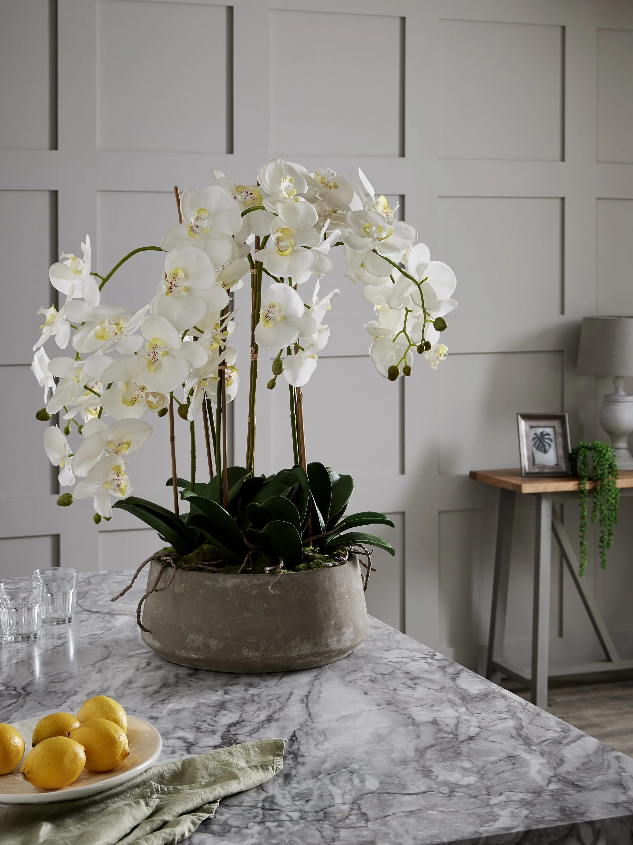 Large White Orchid In Stone Pot