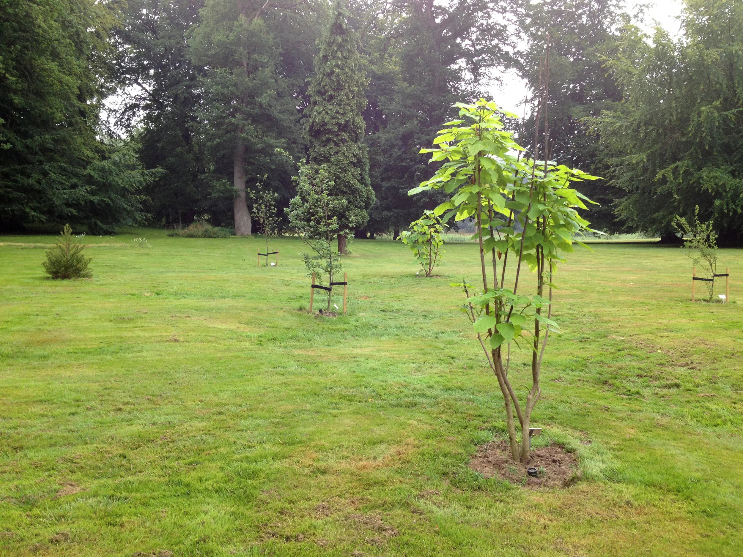 Aug.13_2889.jpg