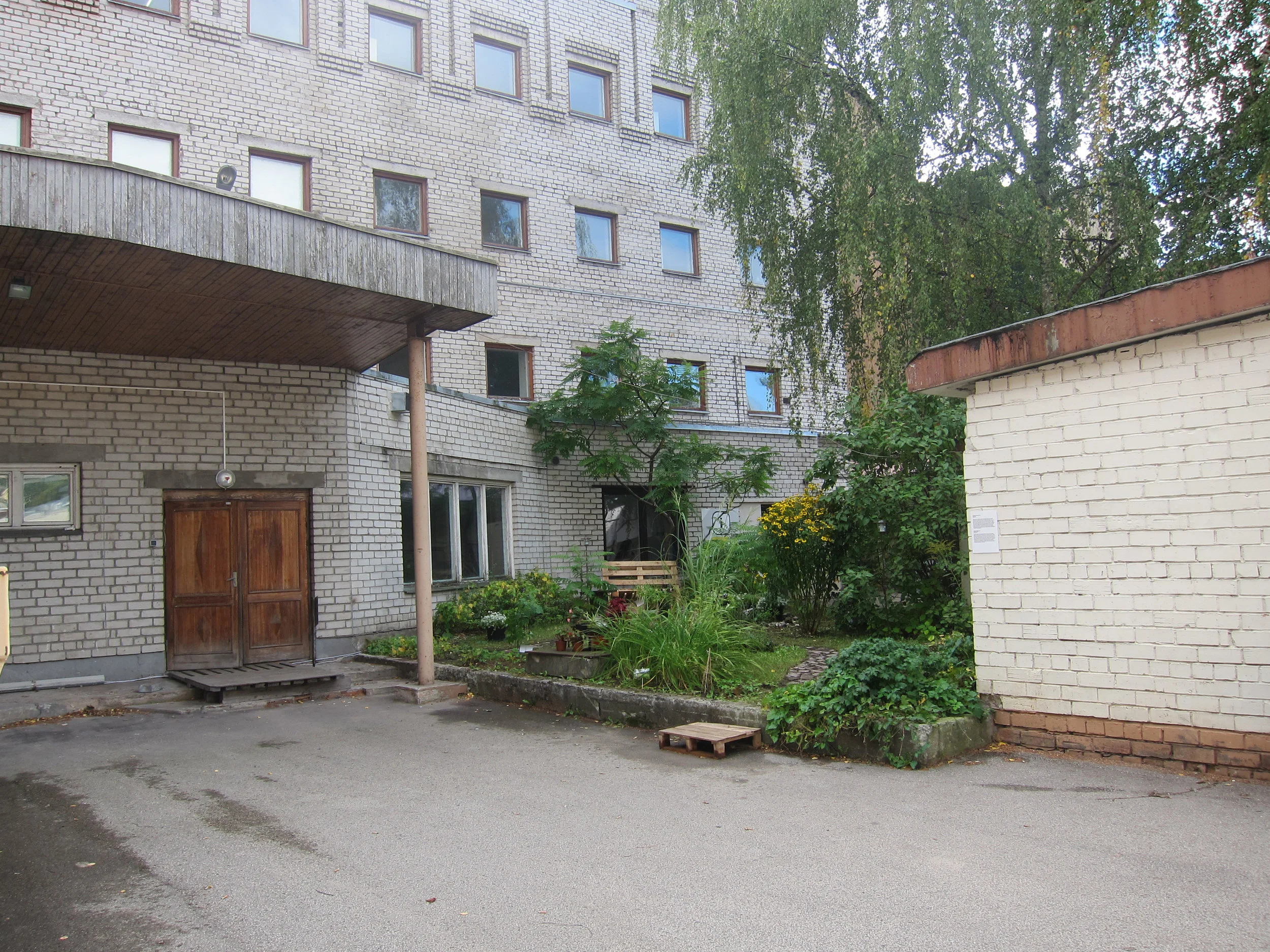 IMG_6303.jpg