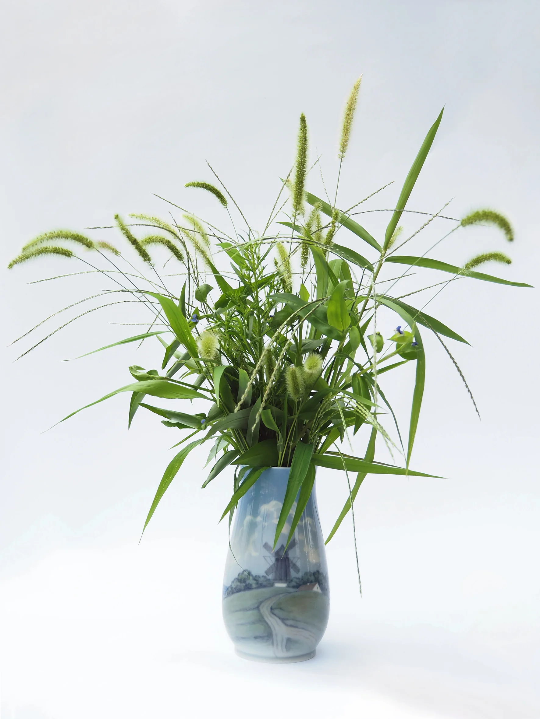 Plant Collection no. 9, 512, Yeongdong-daero, Gangnam-gu, Seoul, 10.08.2016