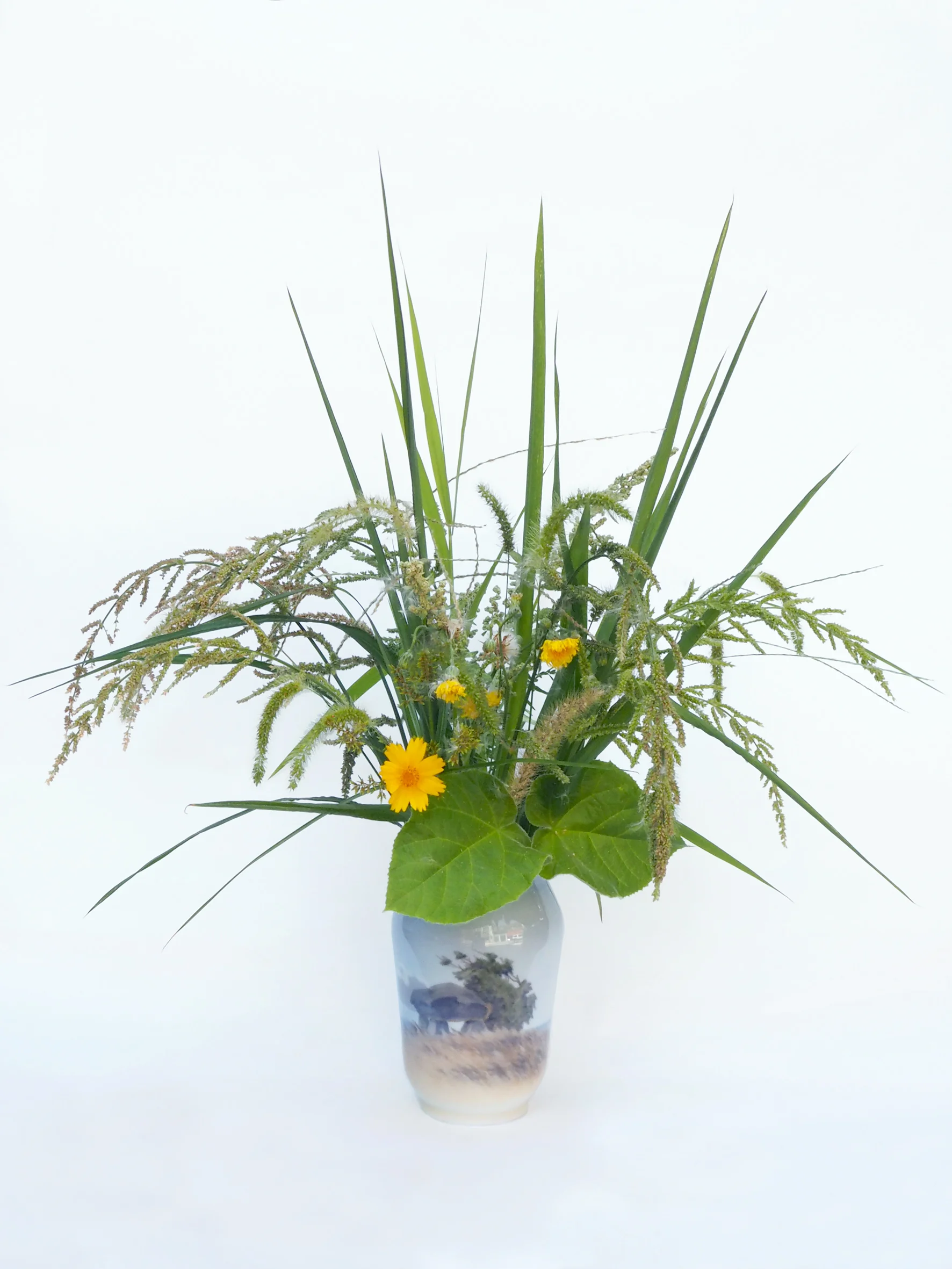 Plant Collection no. 13, 24, Jahamun-ro, Jongno-gu, Seoul, 13.08.2016