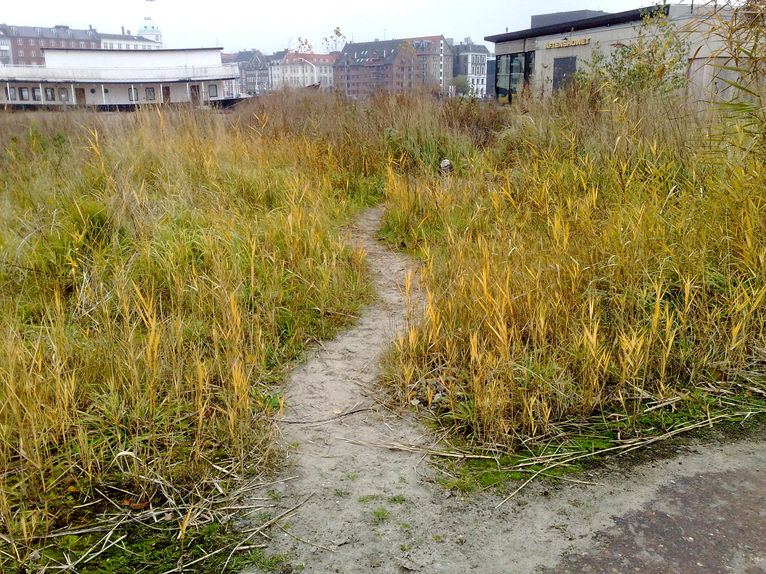 12-301020112979.jpg