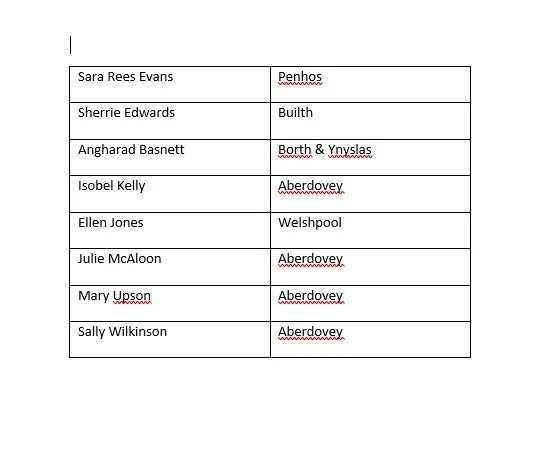 Team for County Match, Welshpool. 6th June 2021