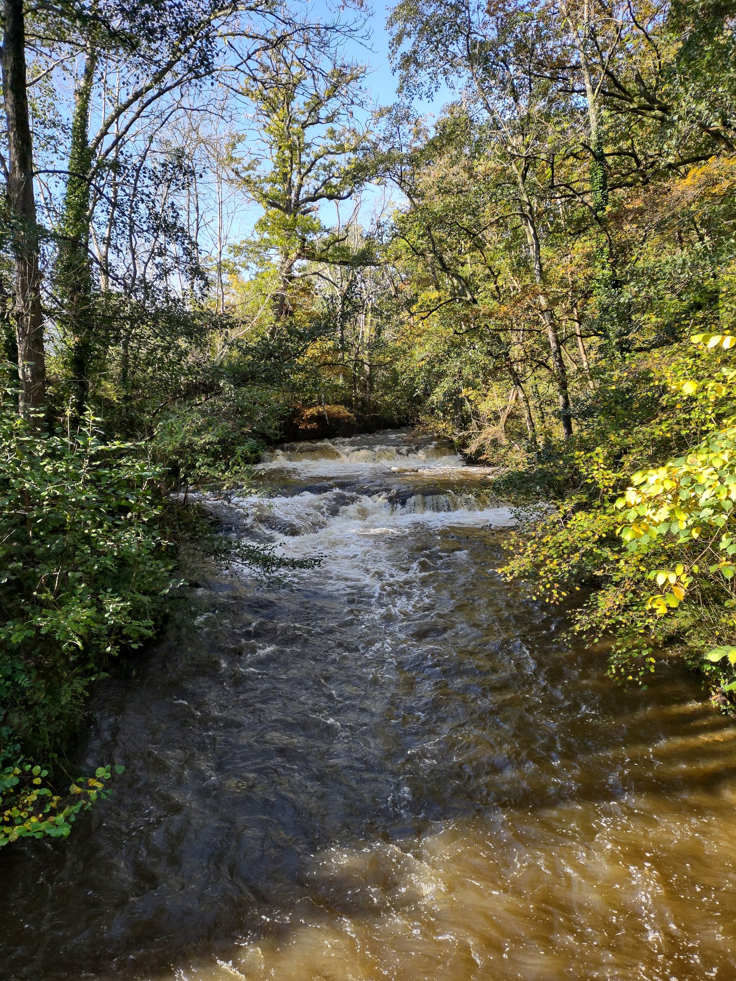 Spring Meeting Start Sheet. Sat 25 April 2026 - Builth Wells GC