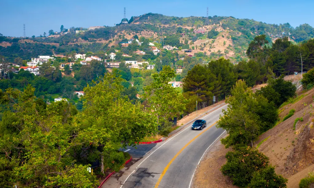 bret easton ellis, 'the shards'