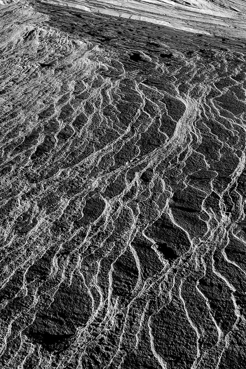   Close-up of slickrock, Navajo Rocks, Utah (October 2020)  