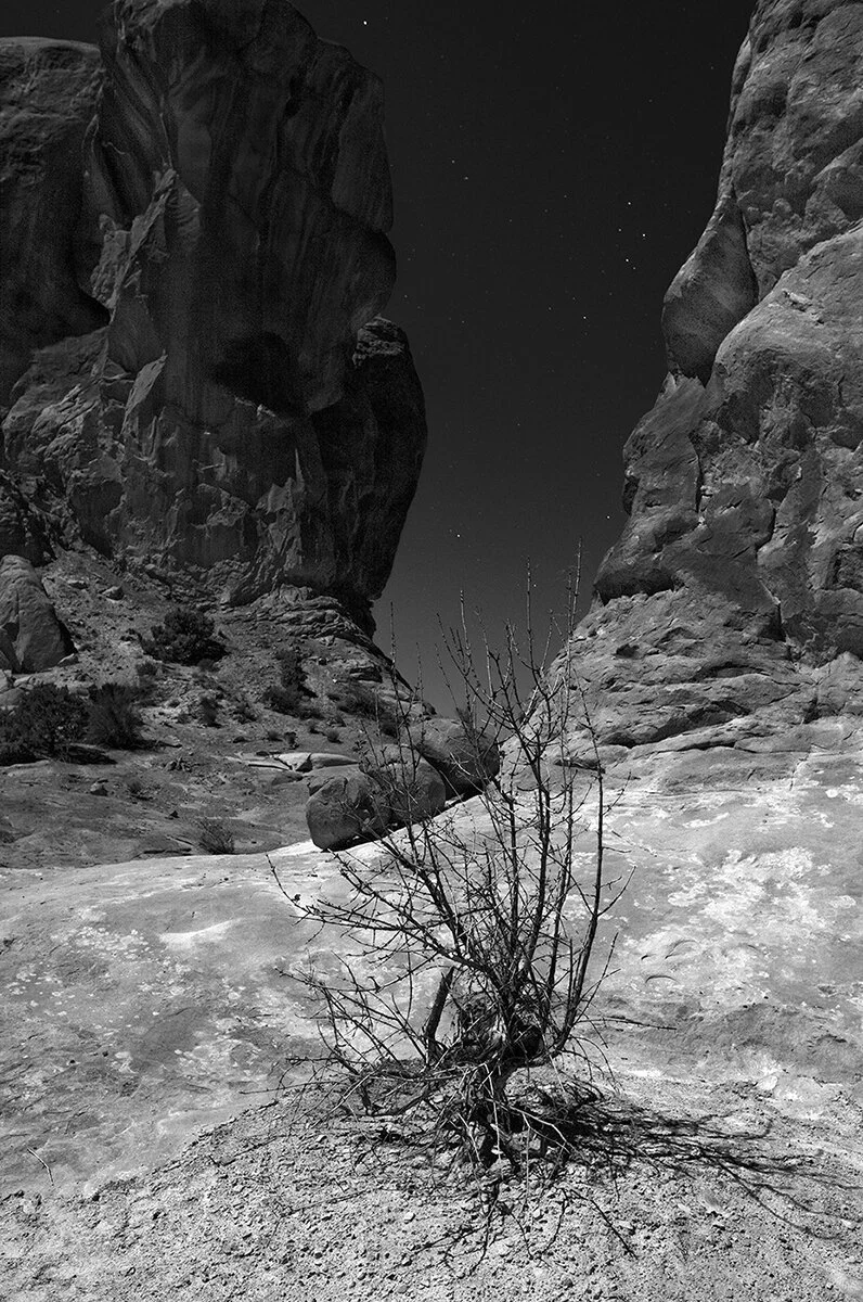   Moonlit formations at Windows Section, Arches National Park, Utah (October 2020)  