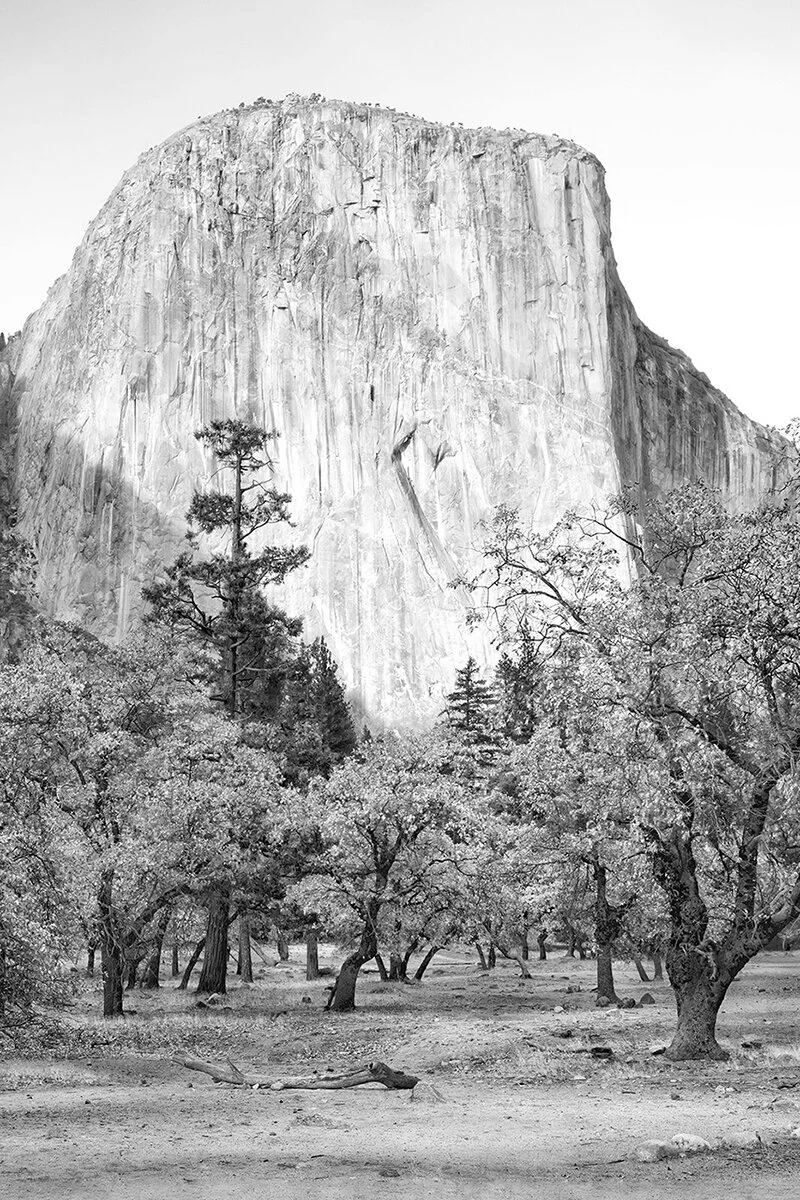   Western face of El Capitan, Yosemite National Park  