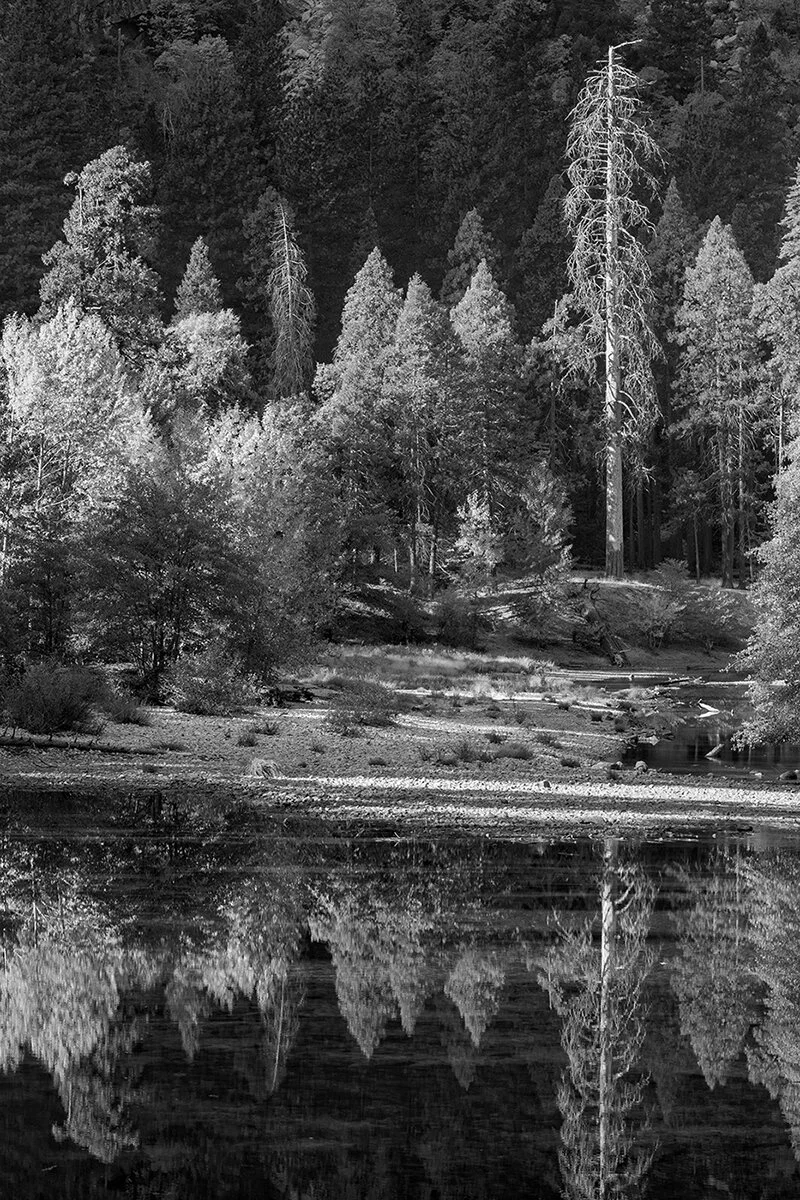   Merced River, Yosemite National Park  