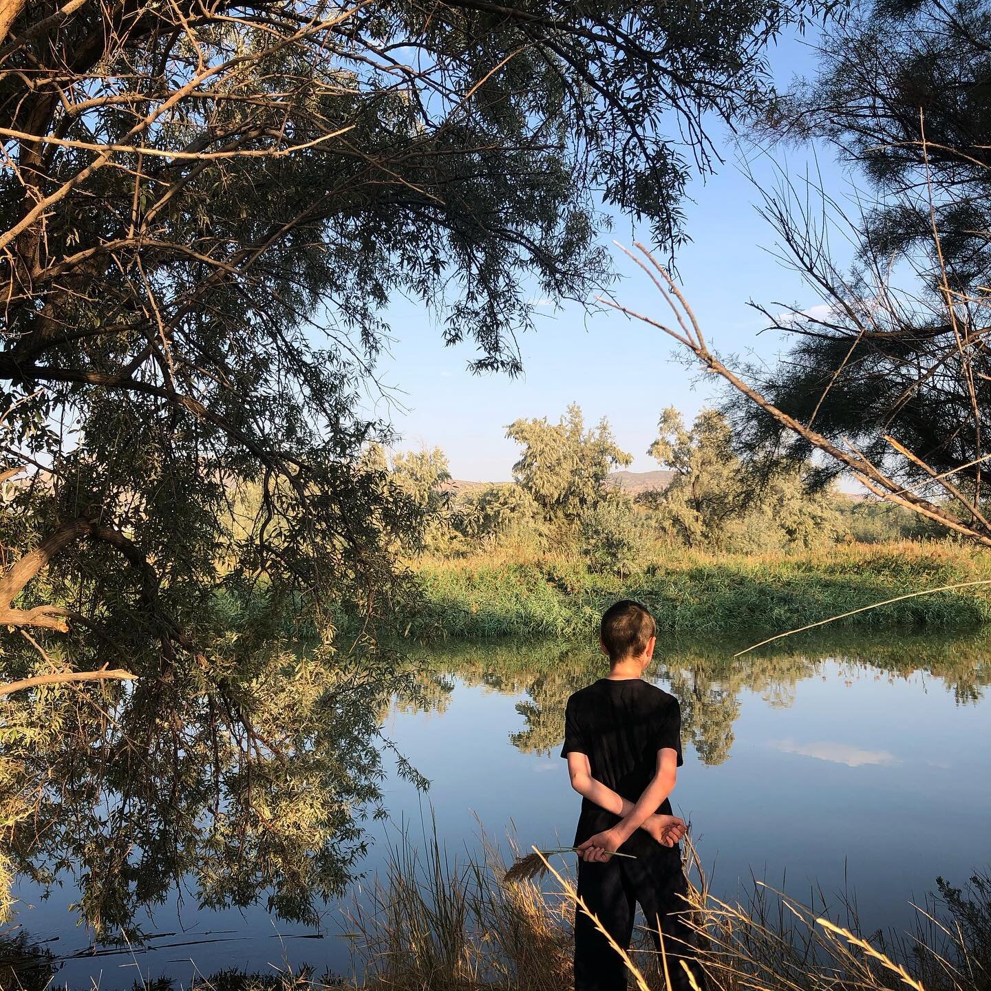 It&rsquo;s been a week.

There&rsquo;s been hustle and heartache, presence and absence, shared grief and solitary grit...

To breathe the early morning air together, to hear the geese and spot the blue damselfly and marvel at the spiderweb suspended 