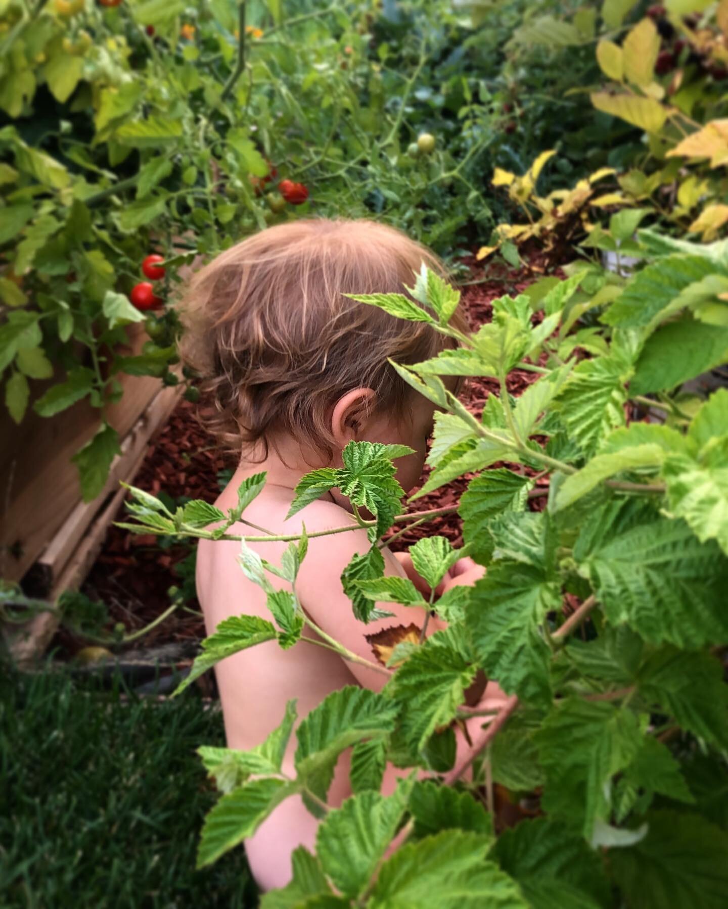 I found her here, quiet among the vines, picking blackberries.  A holy moment.
...
I am not the author of such moments.  I cannot dictate them.  My work is to imagine them, take great care to make room for them, watch, and wait.

I simply don&rsquo;t