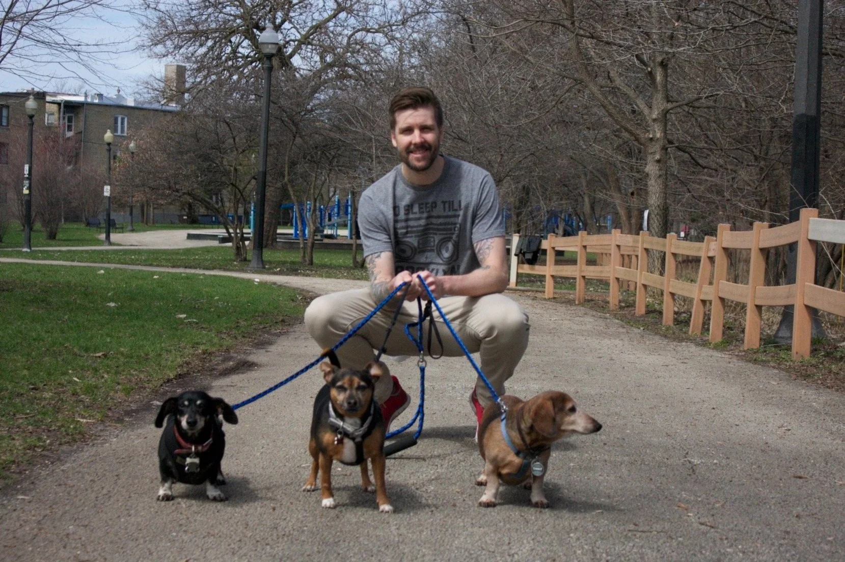 5 Things You Need to Know Before Hiring a Dog Walker