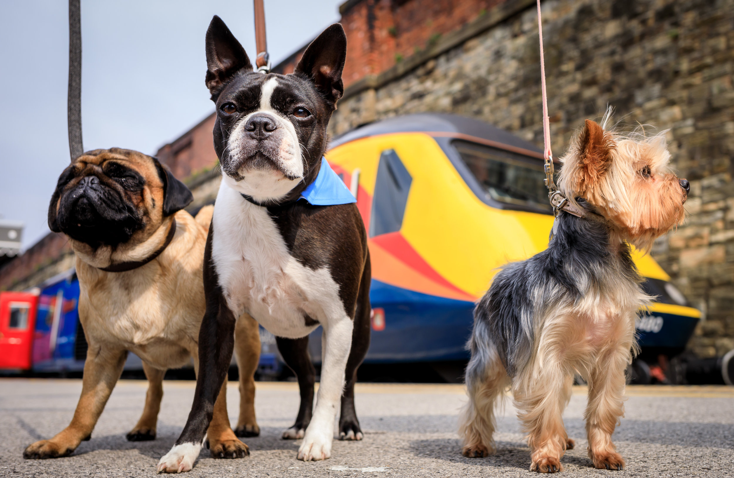 East Midlands Trains 11.jpg