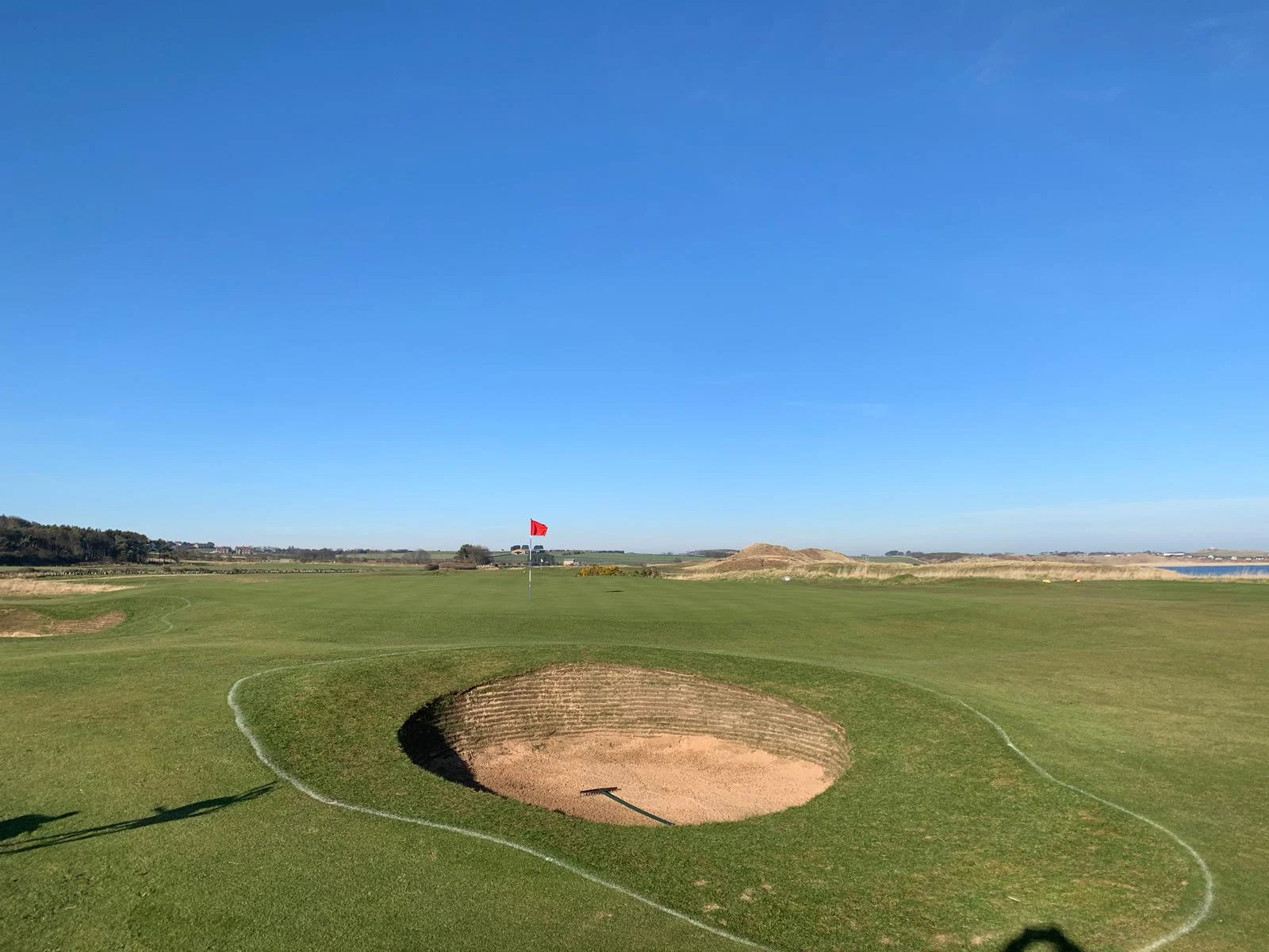 The new Bunkers on 14 have all received a cut this week and have settled in extremely well.