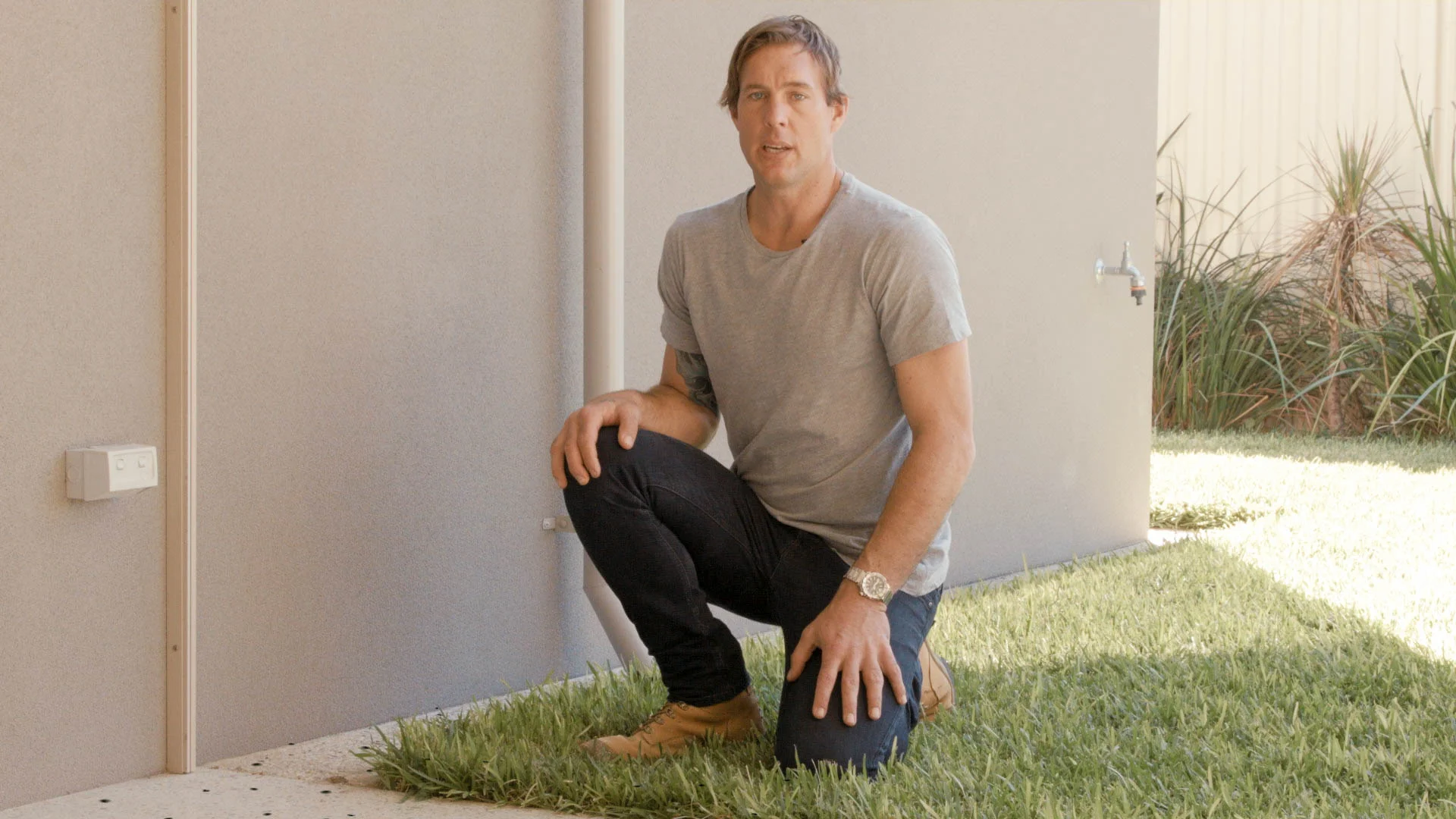 How to Get Rid of Ants1.jpg